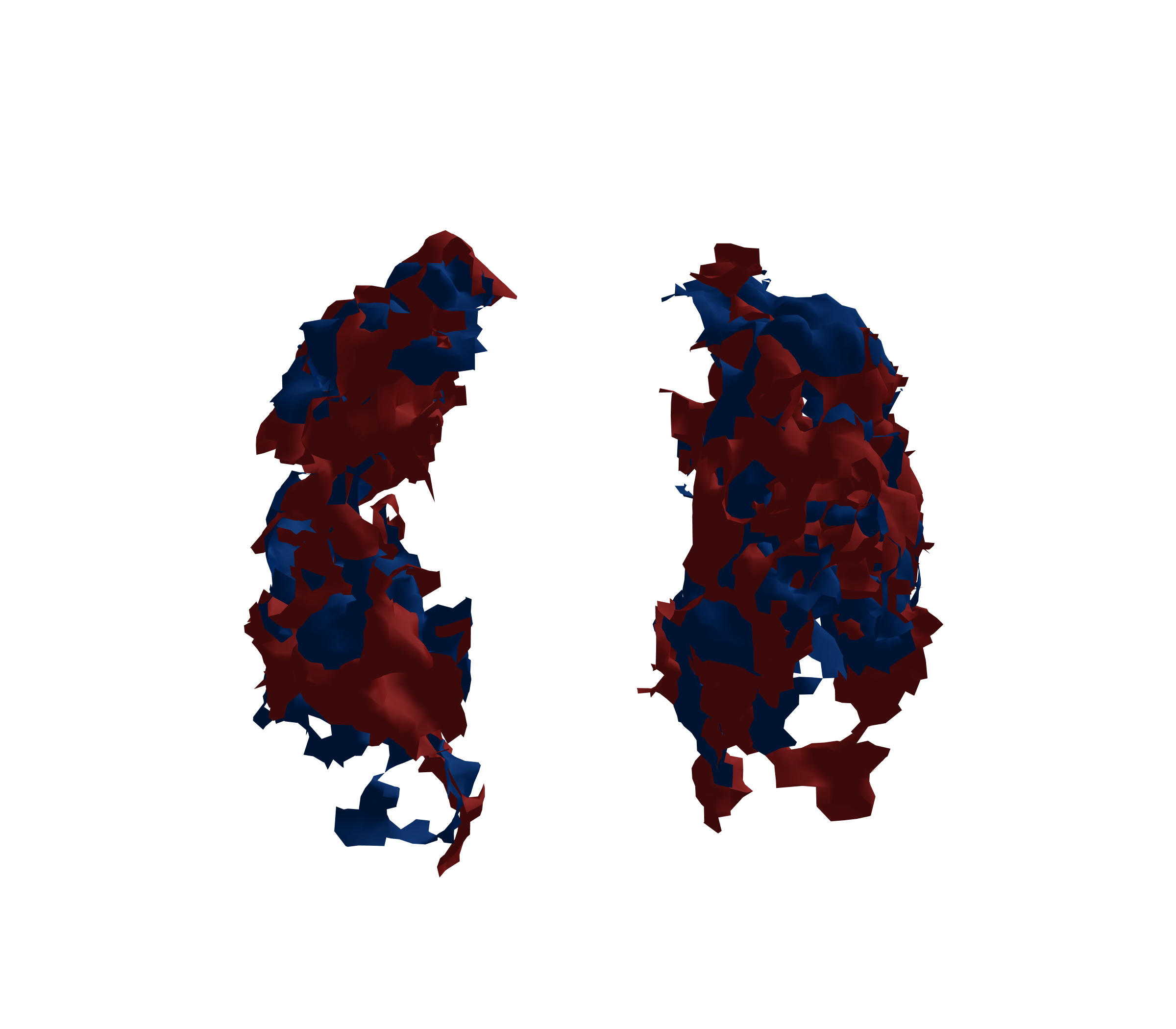 Surface Mesh - Front View