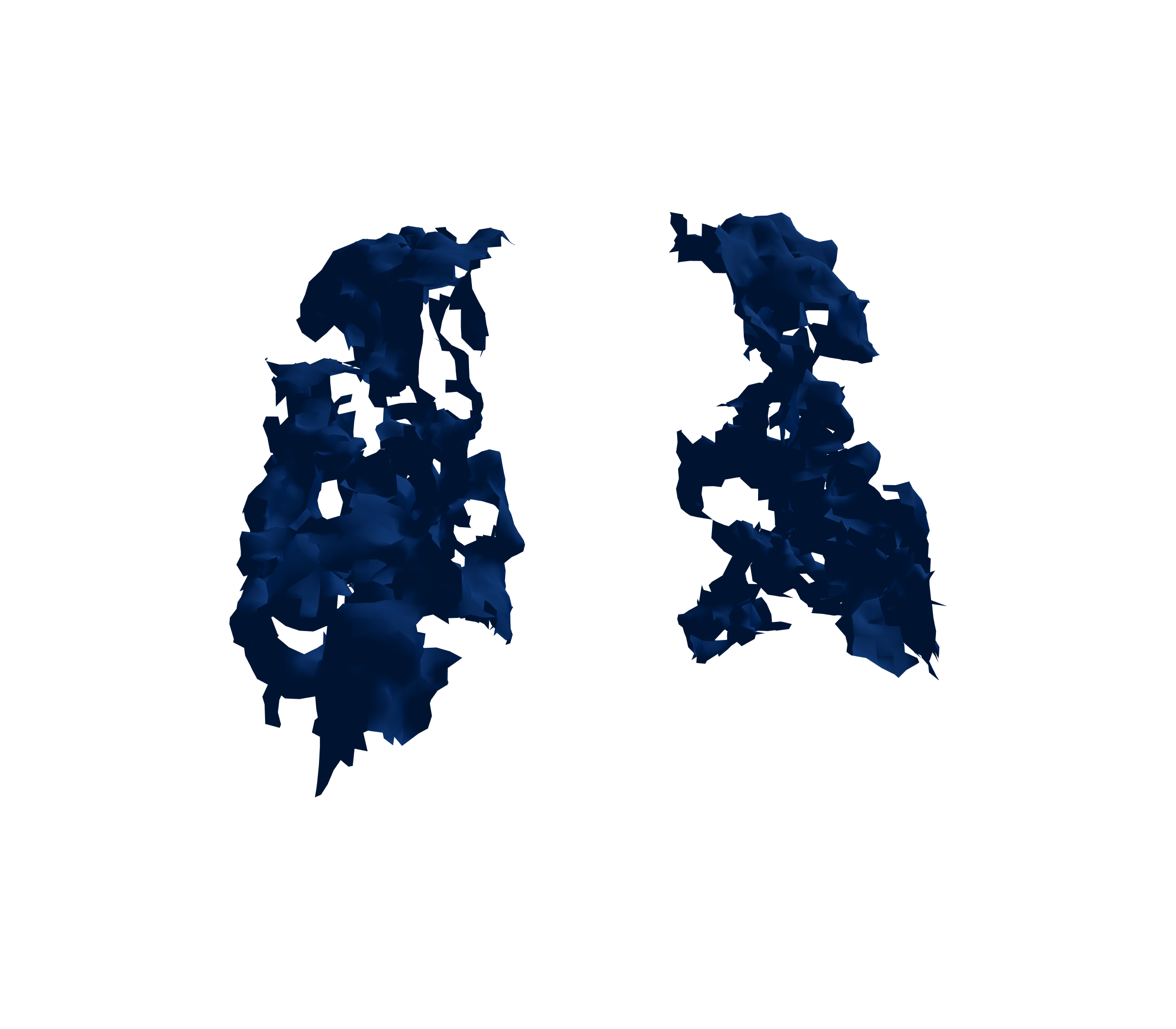 Surface Mesh (Inspiration) - Back View