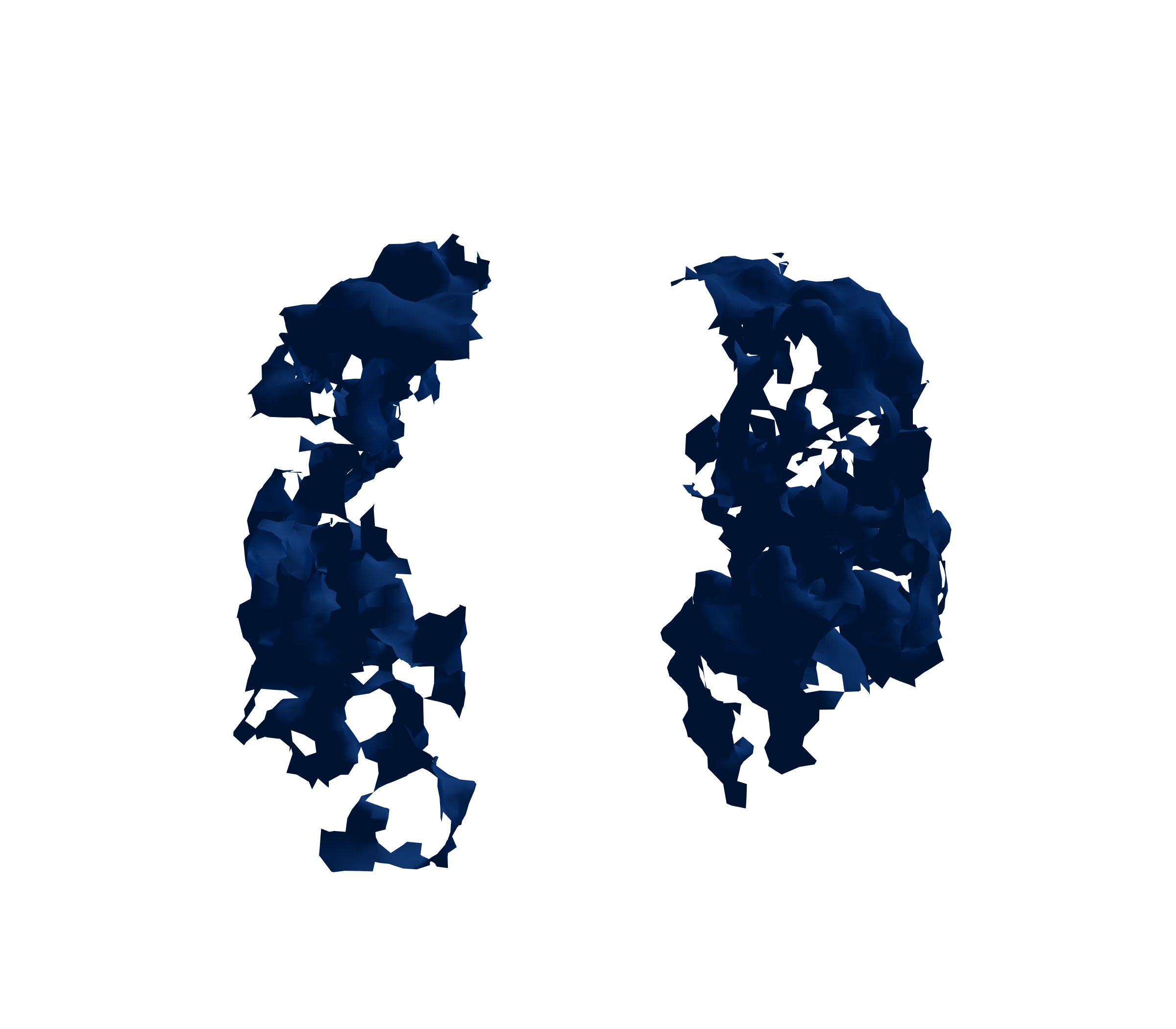 Surface Mesh (Inspiration) - Front View