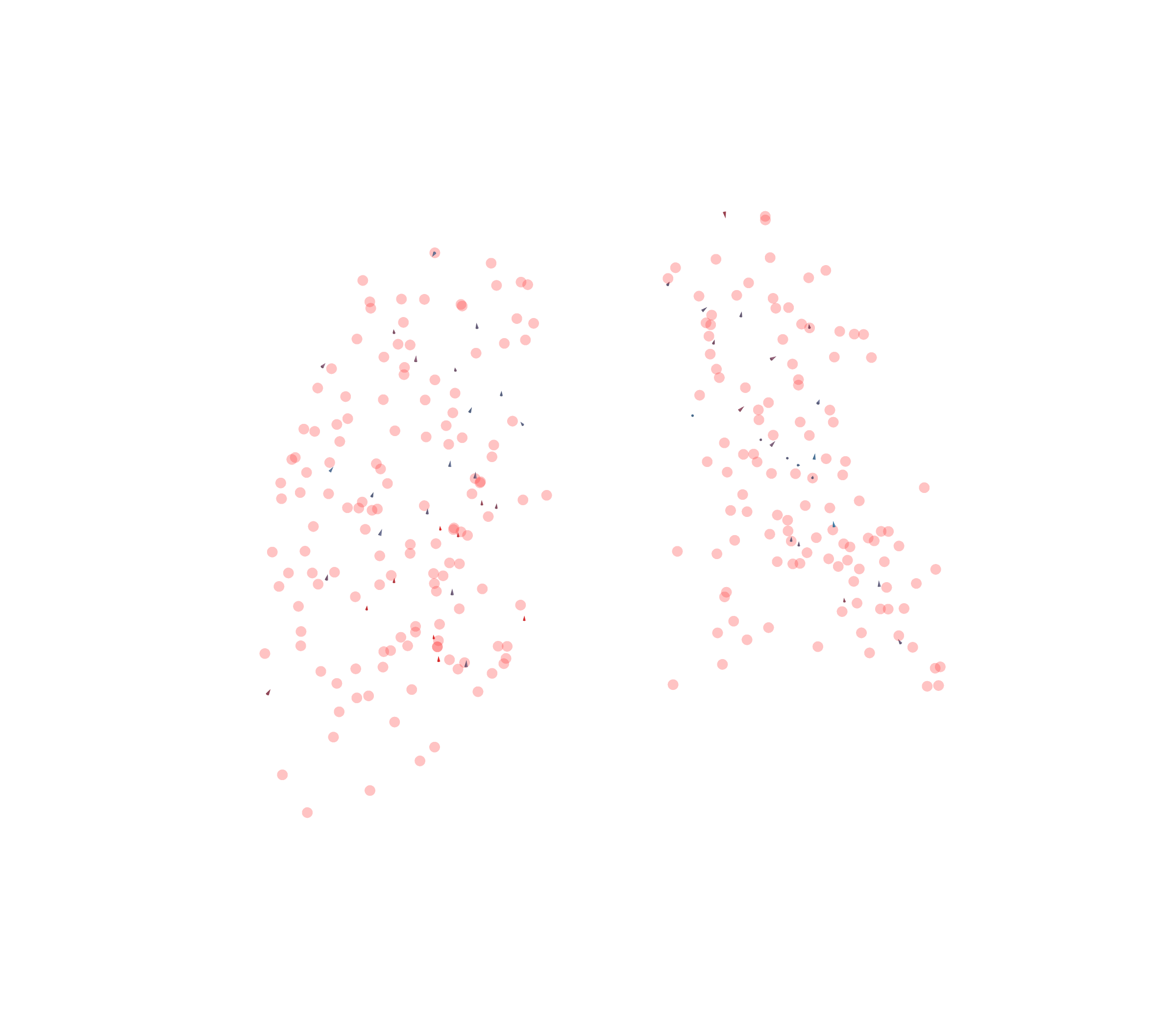Displacement Vectors - Back View