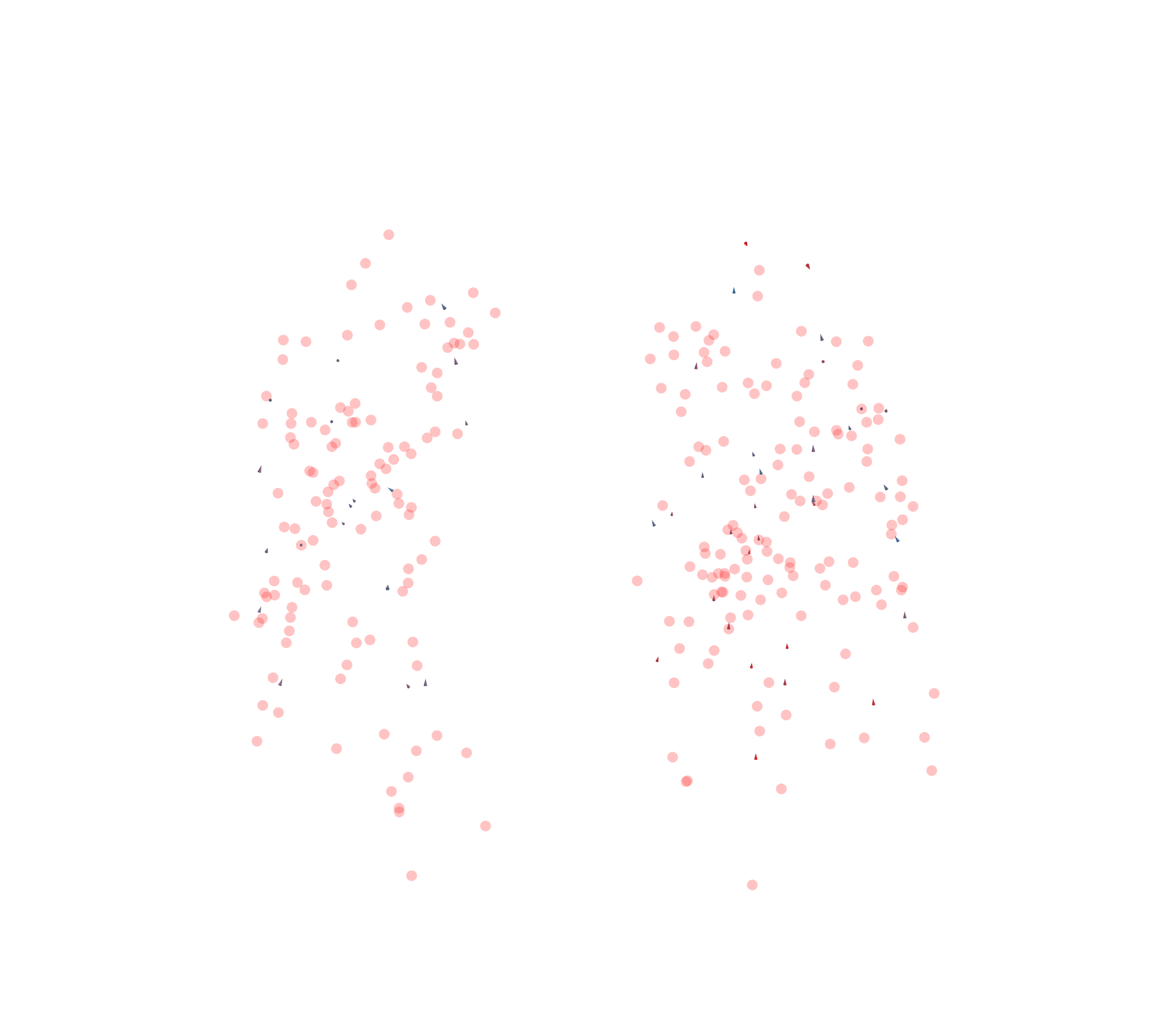 Displacement Vectors - Front View