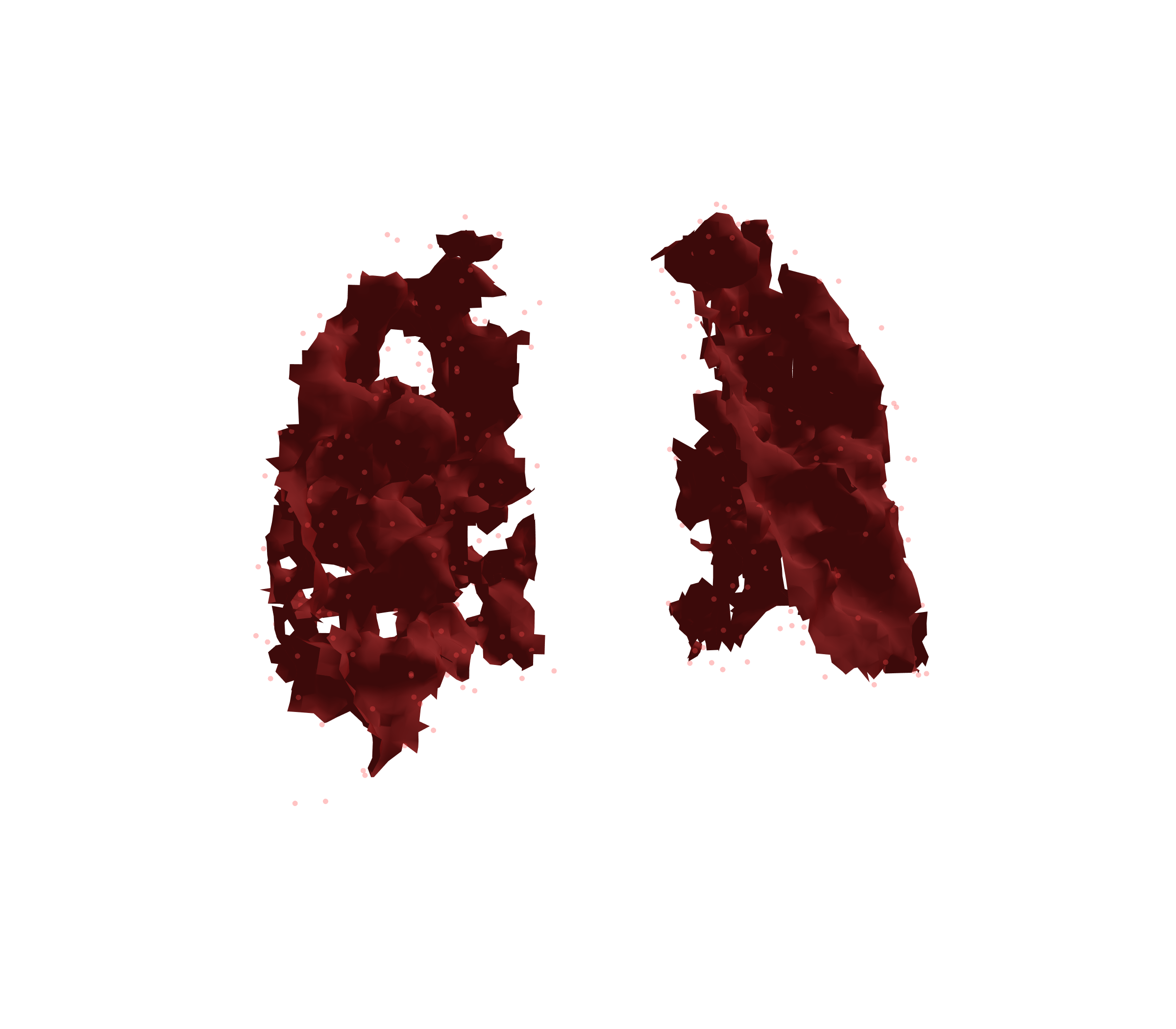 Combined Visualization (Expiration) - Back View