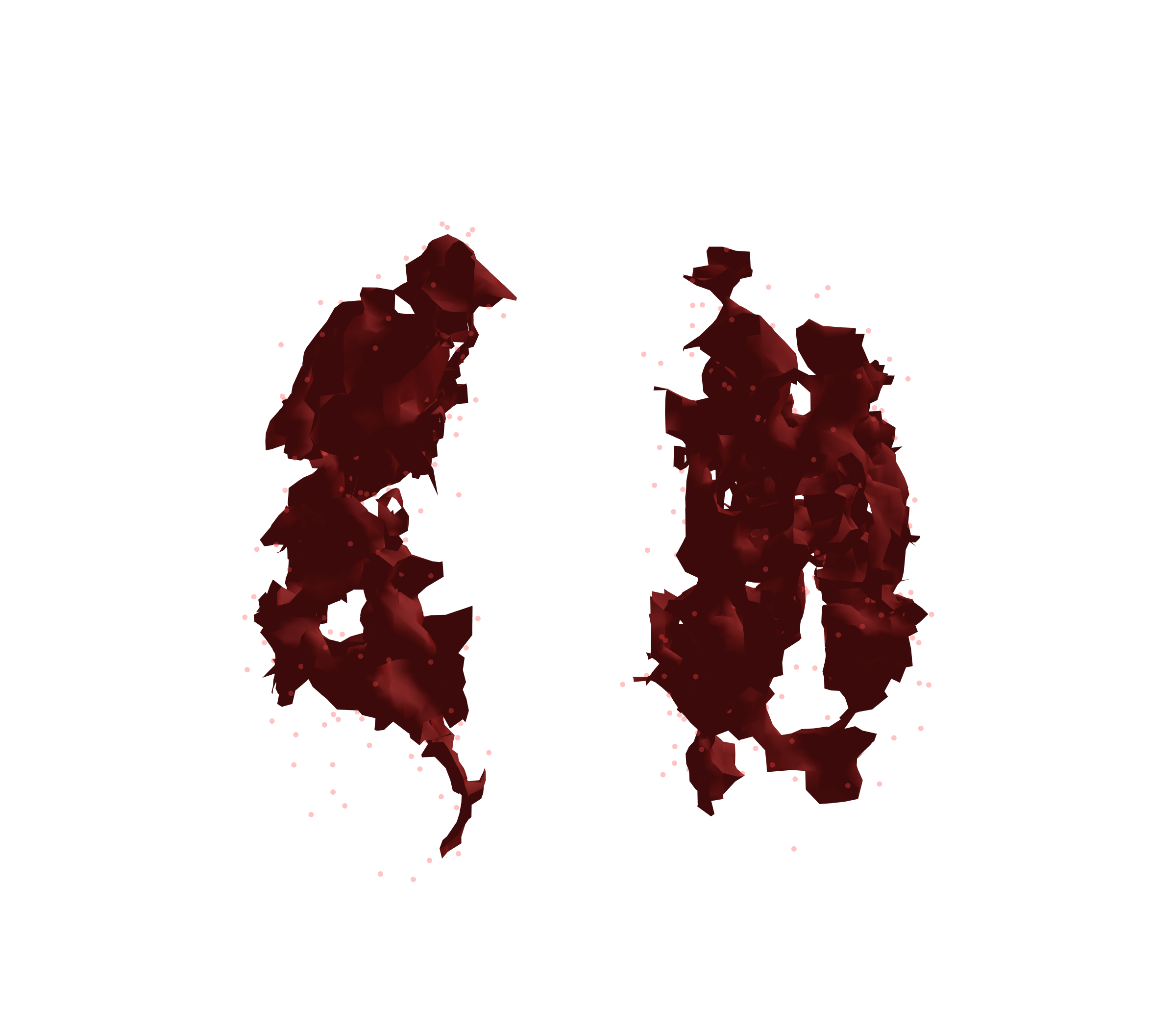 Combined Visualization (Expiration) - Front View