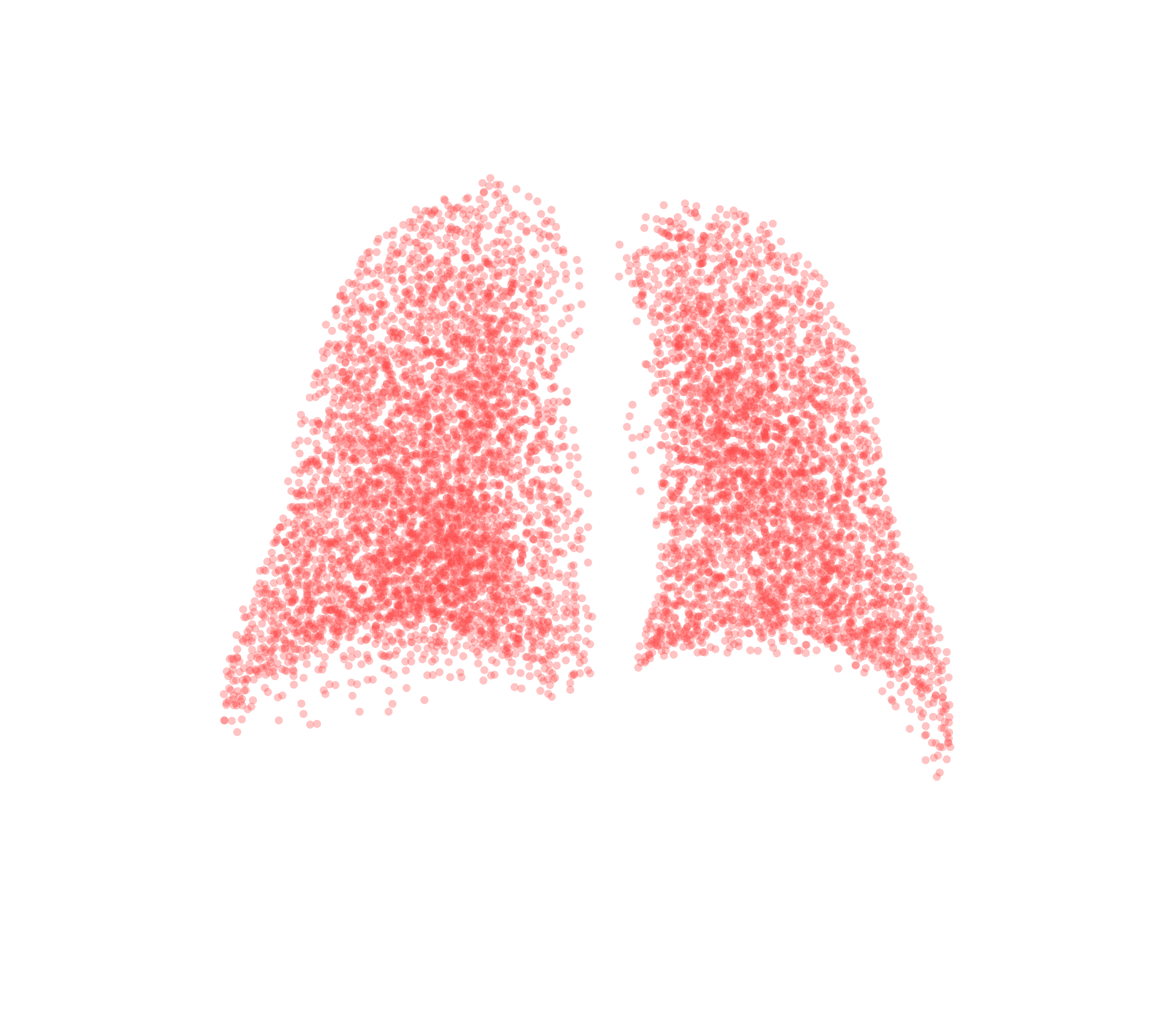Point Cloud (Expiration) - Back View