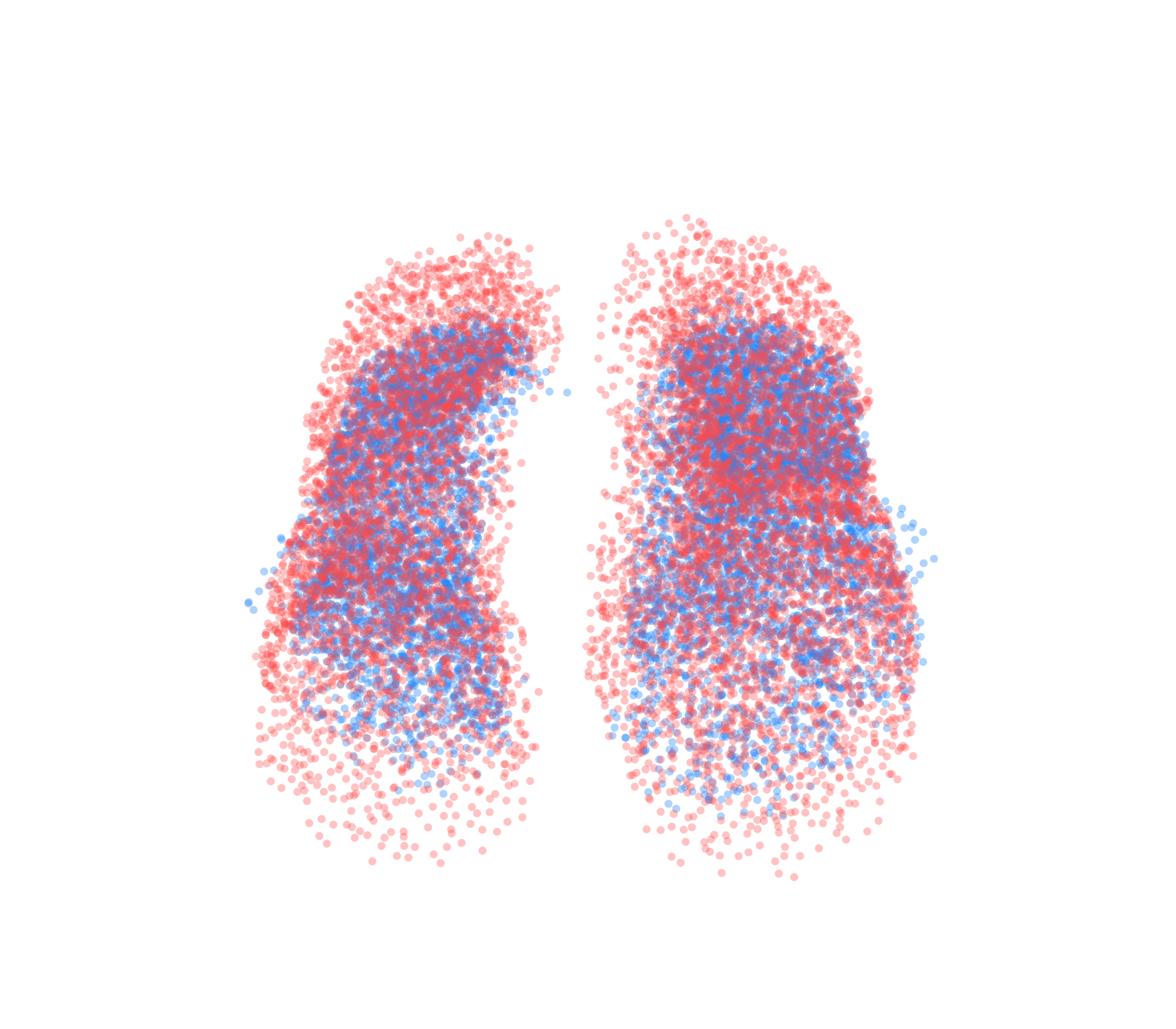 Point Cloud - Front View