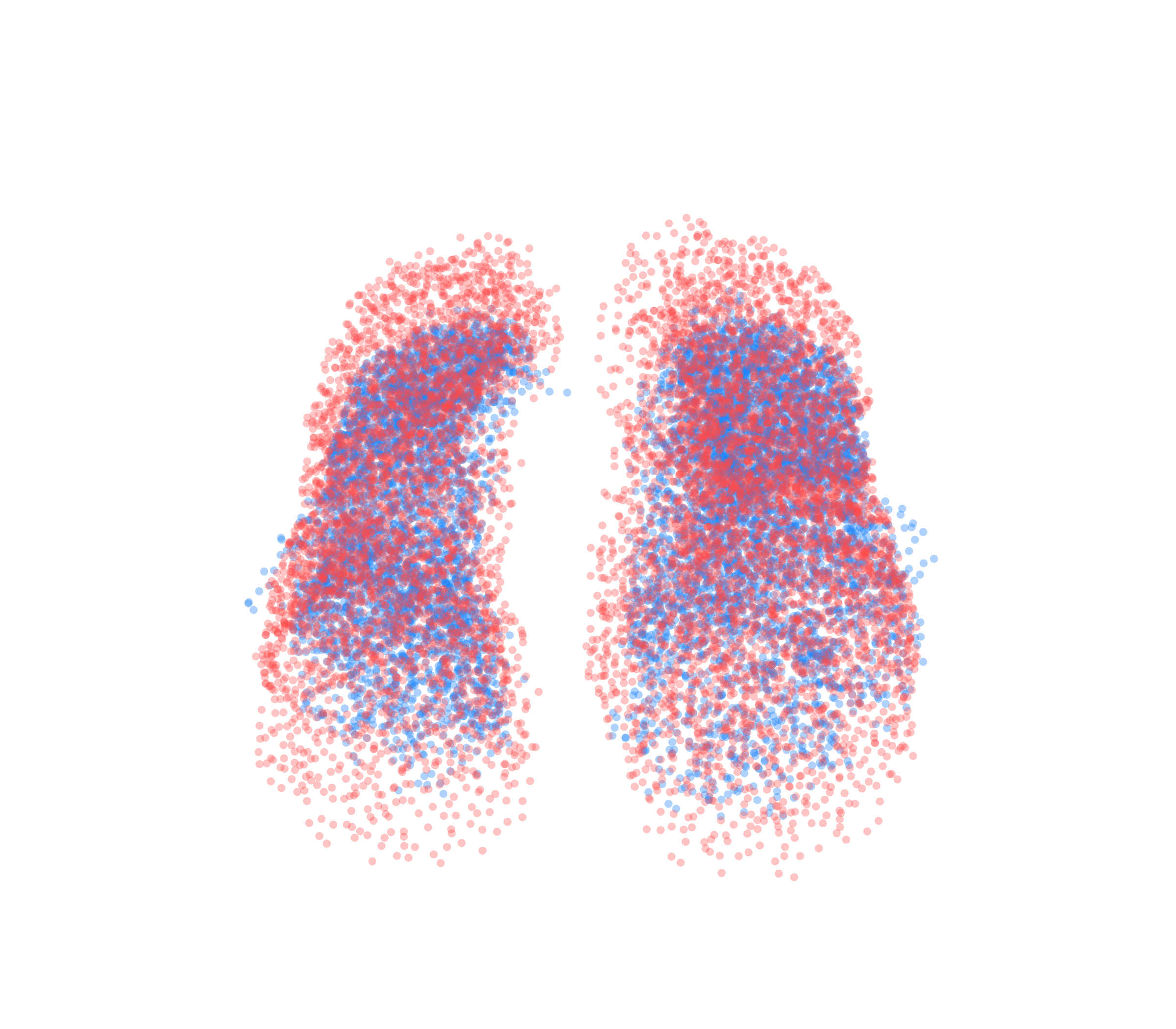 Point Cloud - Front View