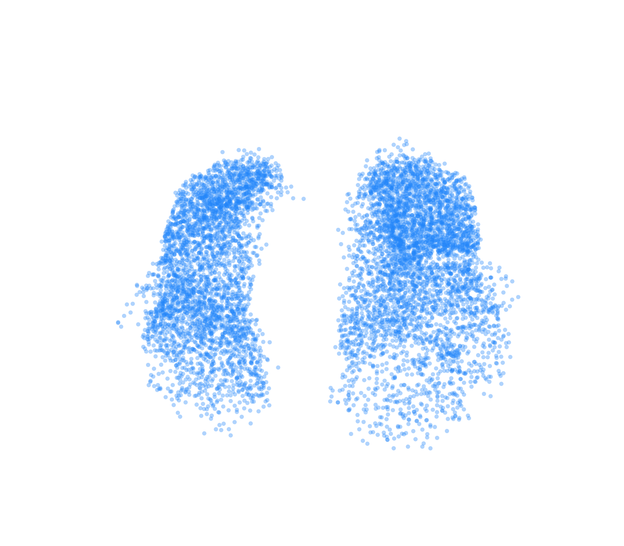 Point Cloud (Inspiration) - Front View