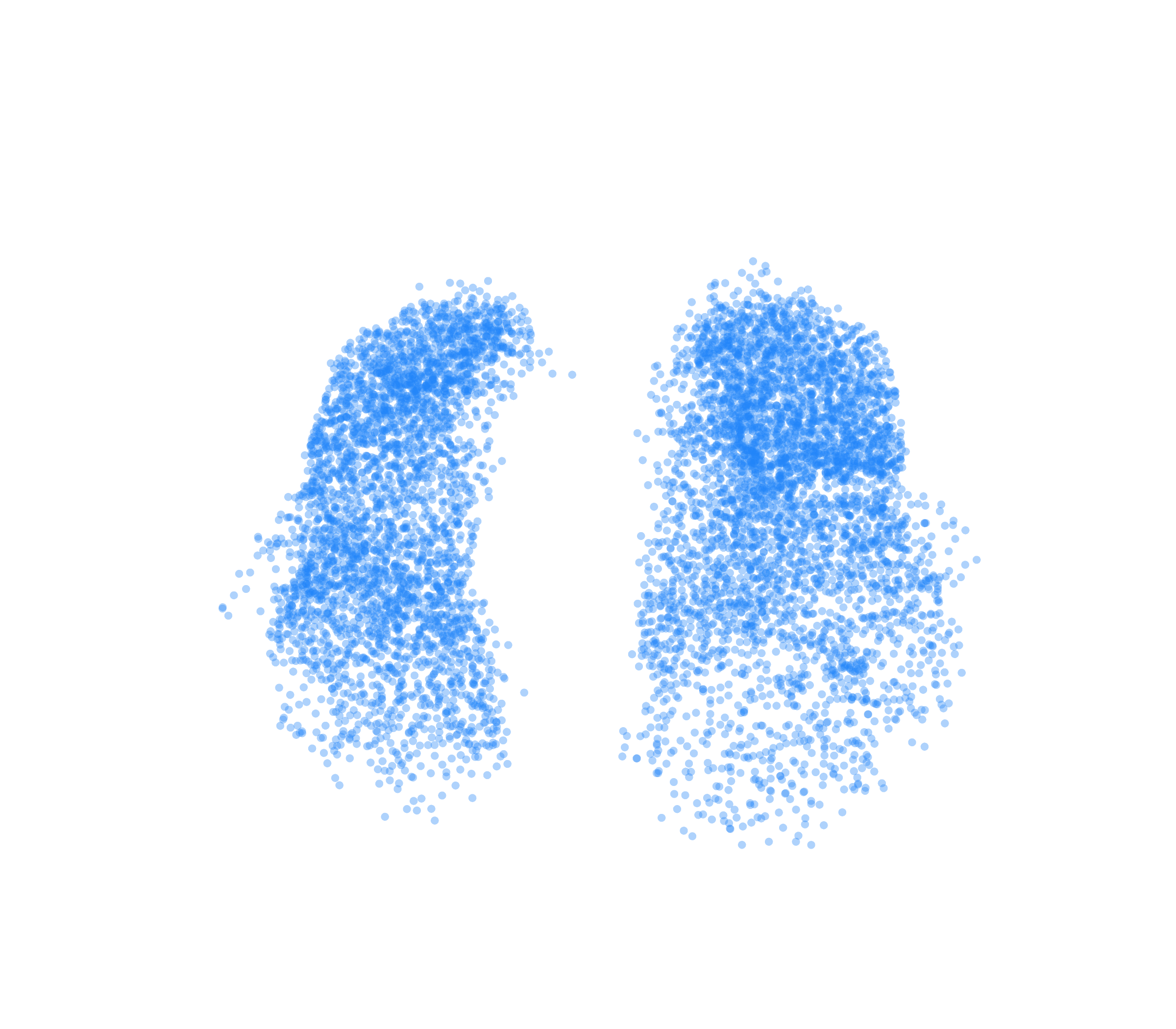 Point Cloud (Inspiration) - Front View