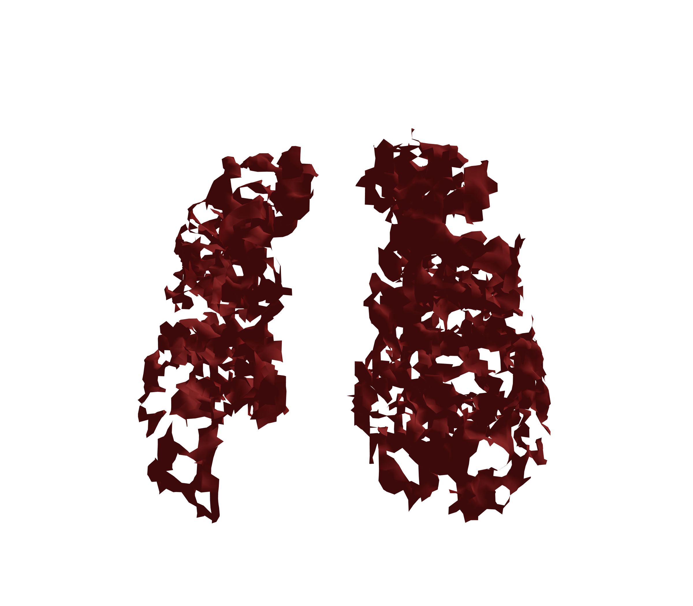 Surface Mesh (Expiration) - Front View