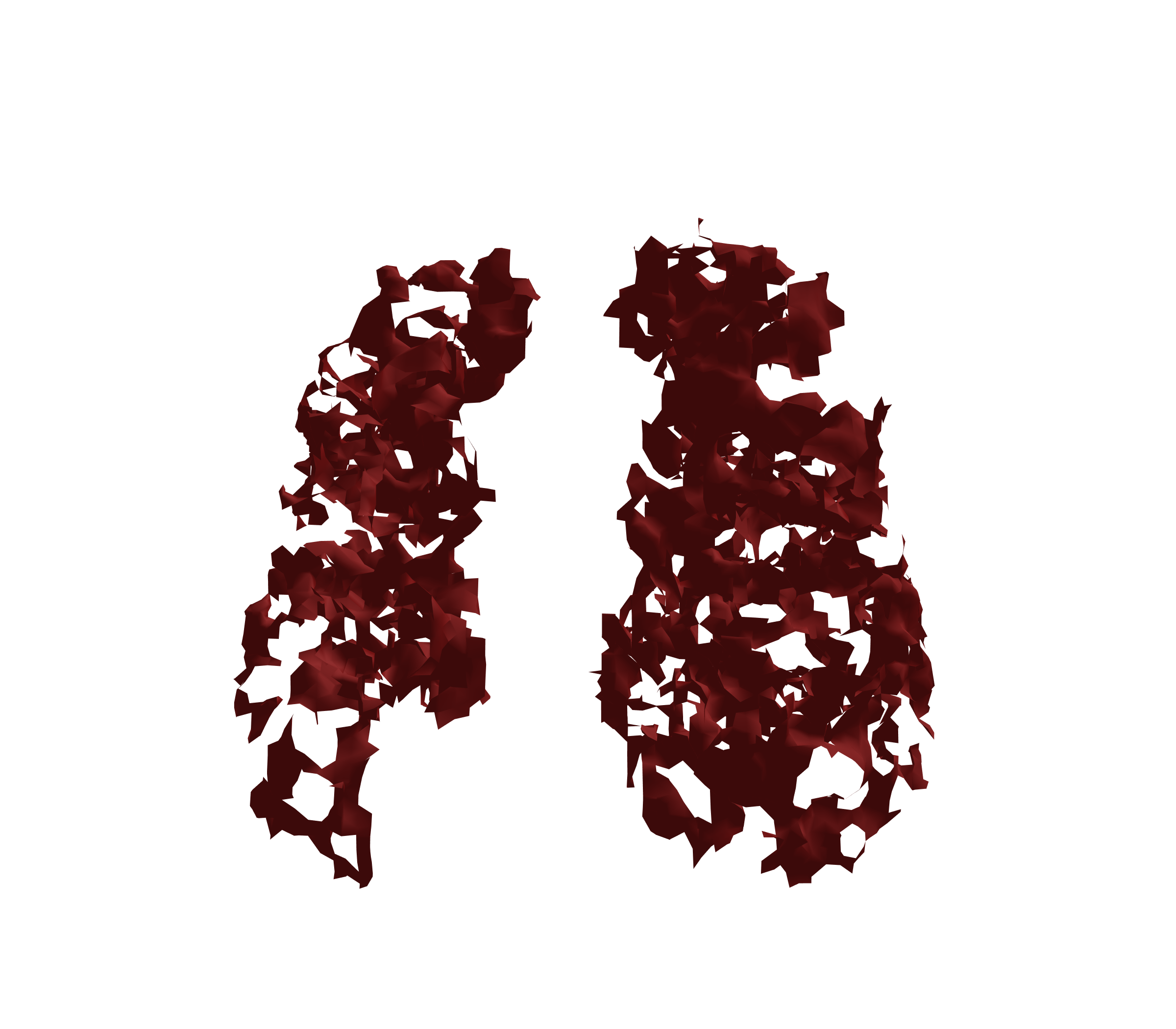 Surface Mesh (Expiration) - Front View