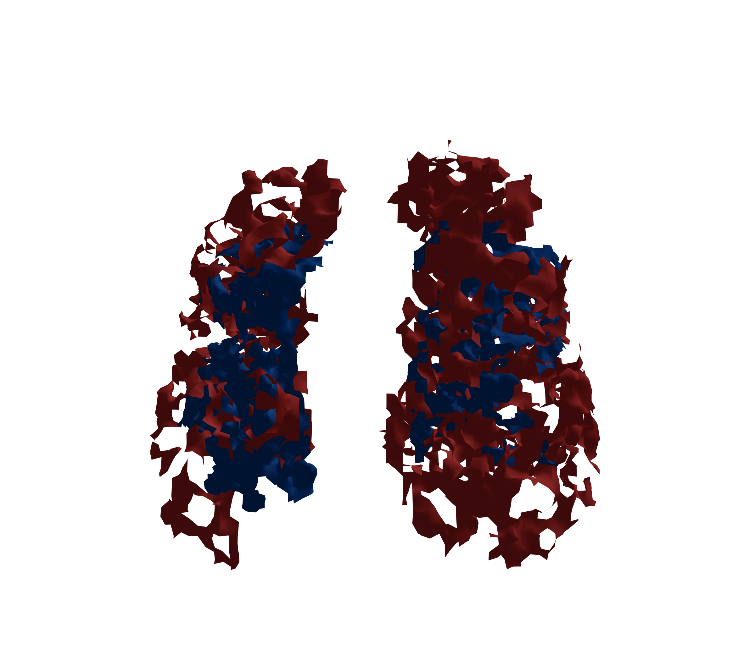 Surface Mesh - Front View