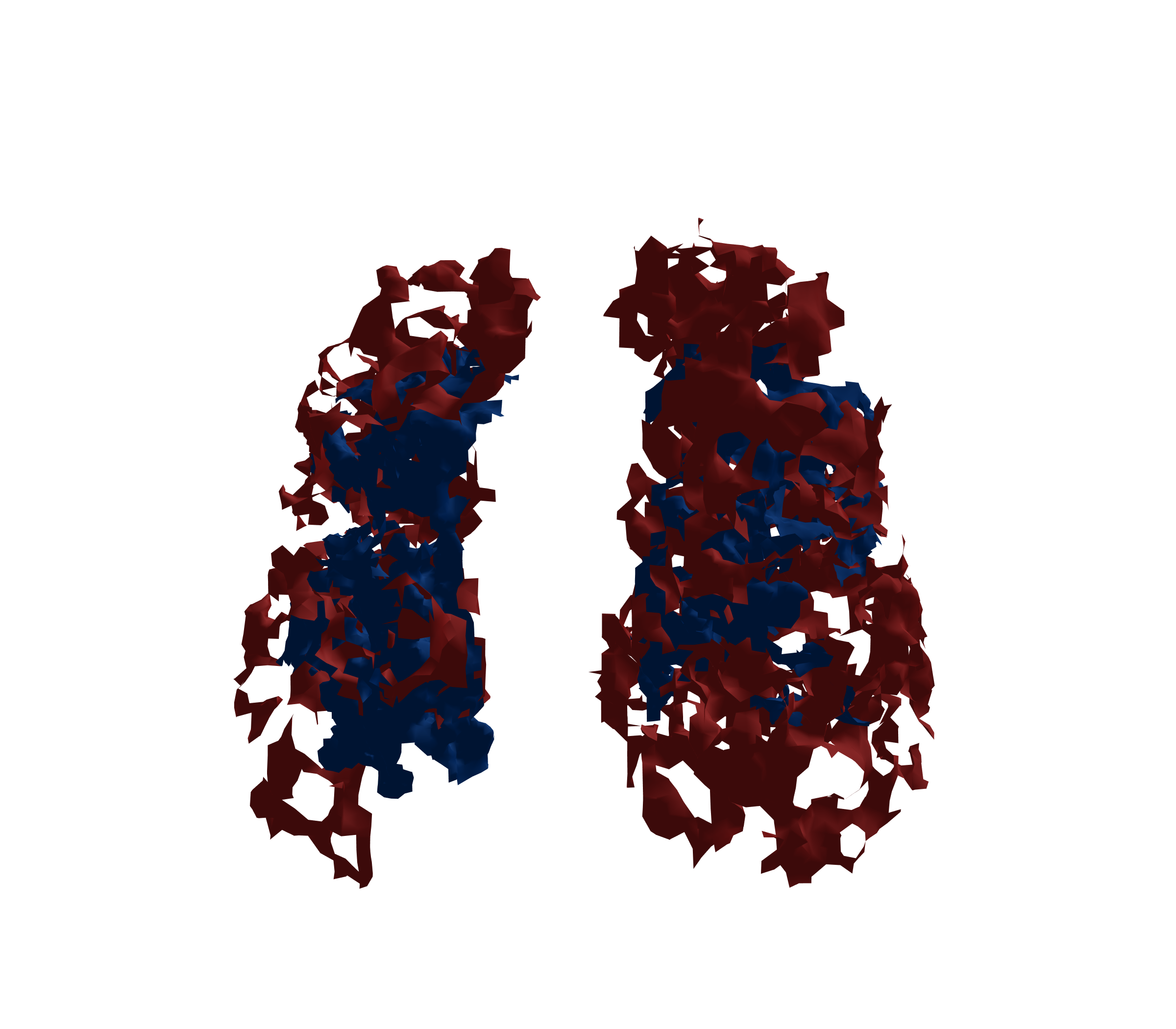 Surface Mesh - Front View