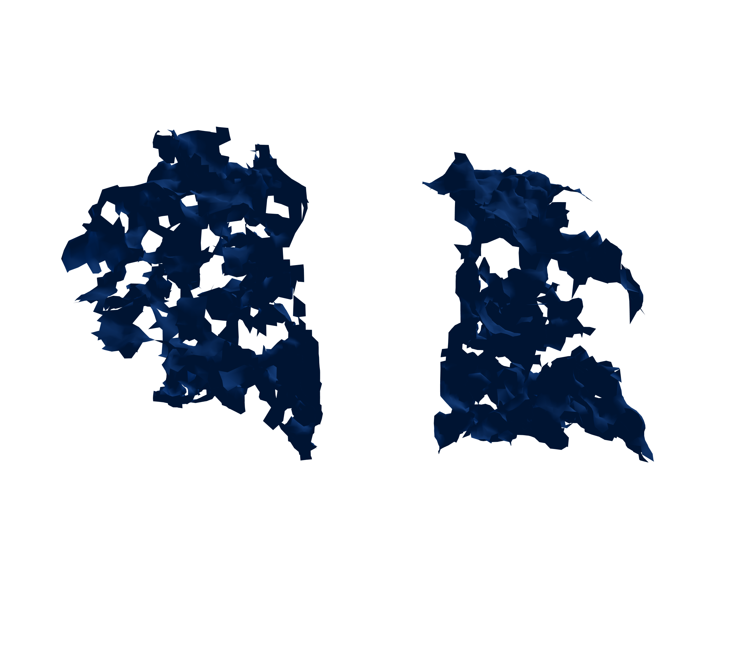 Surface Mesh (Inspiration) - Back View