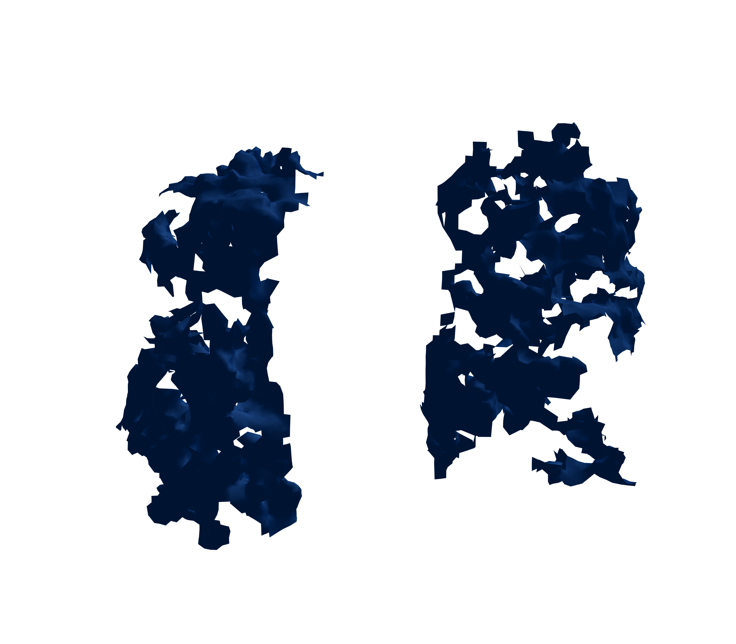 Surface Mesh (Inspiration) - Front View