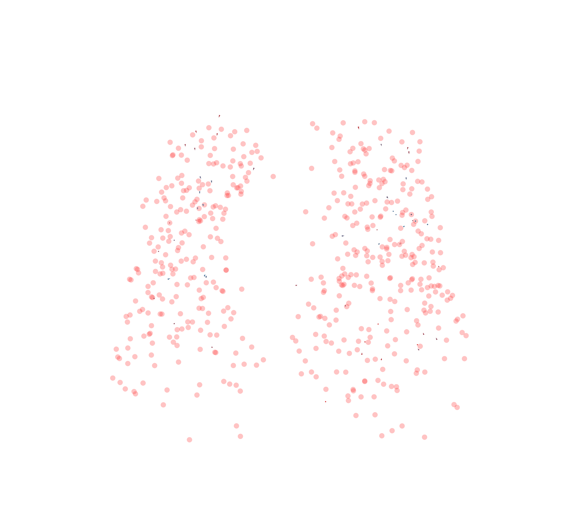 Displacement Vectors - Front View