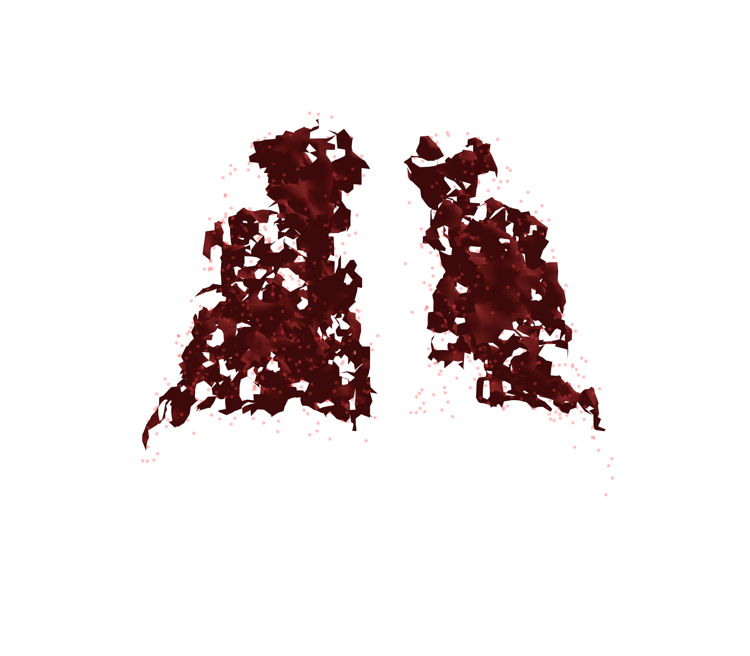 Combined Visualization (Expiration) - Back View