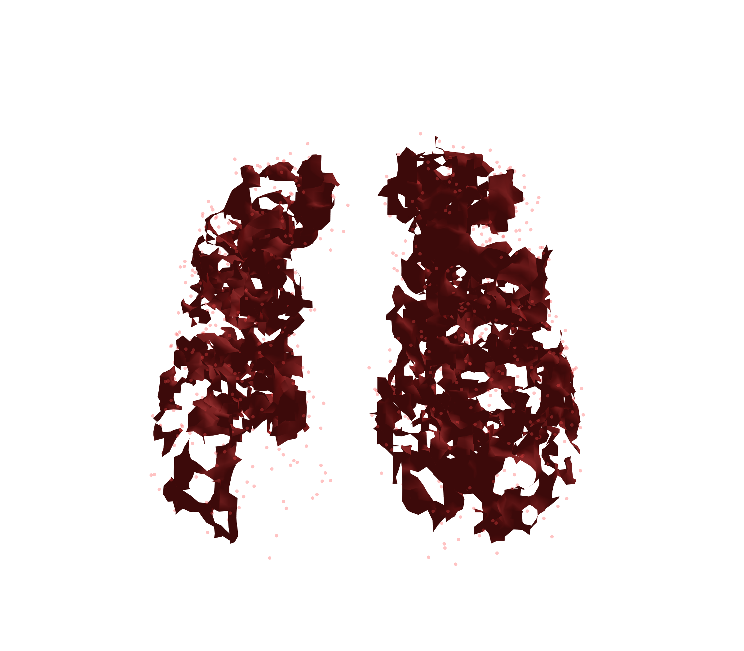 Combined Visualization (Expiration) - Front View