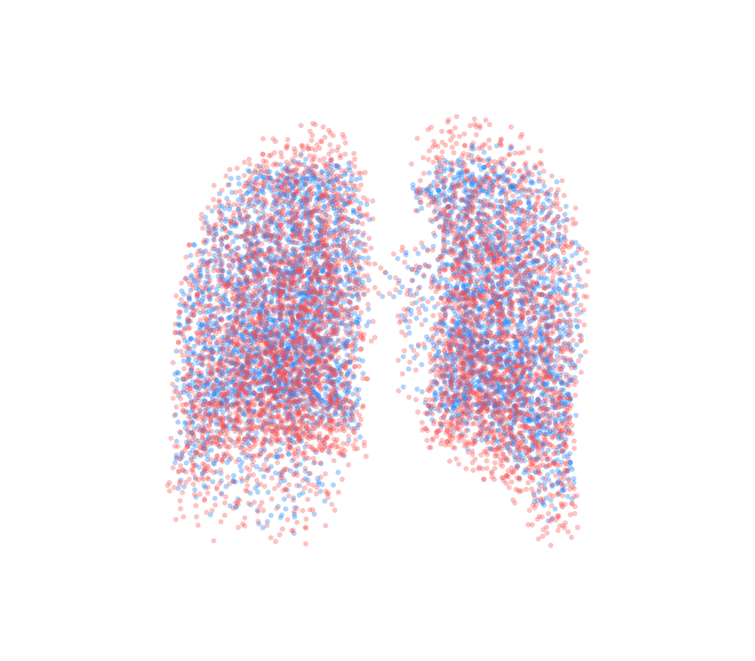 Point Cloud - Back View
