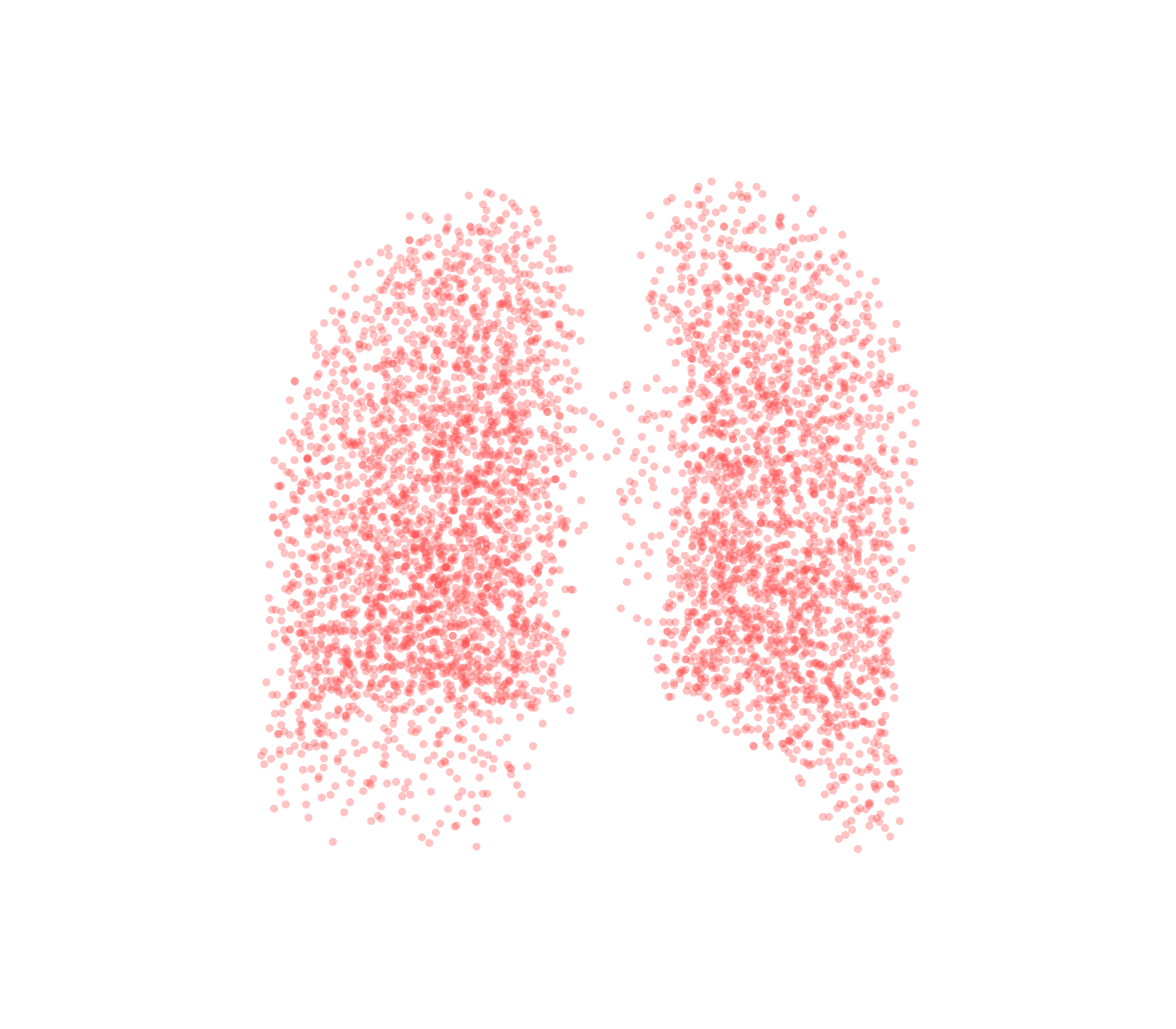 Point Cloud (Expiration) - Back View