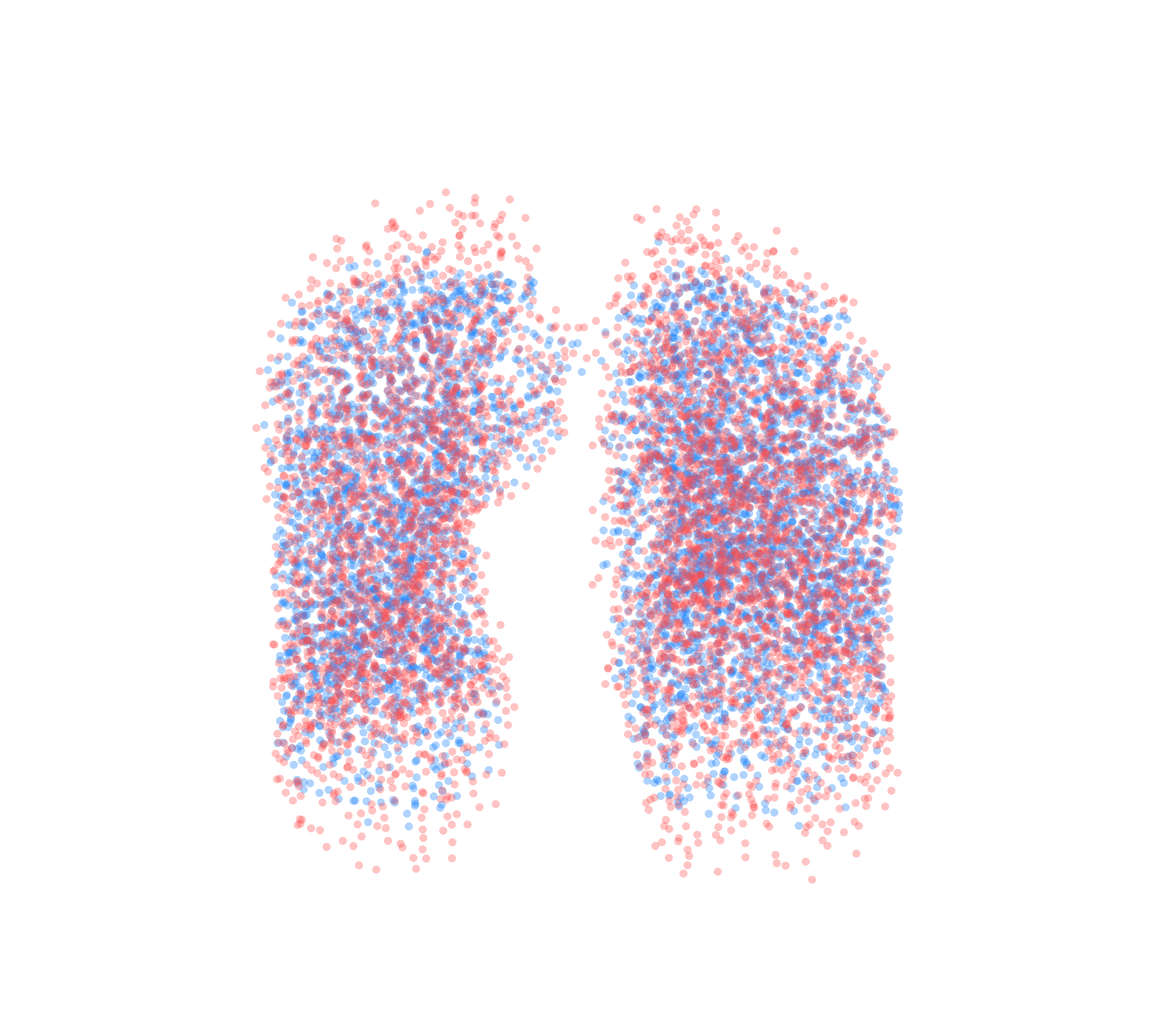 Point Cloud - Front View