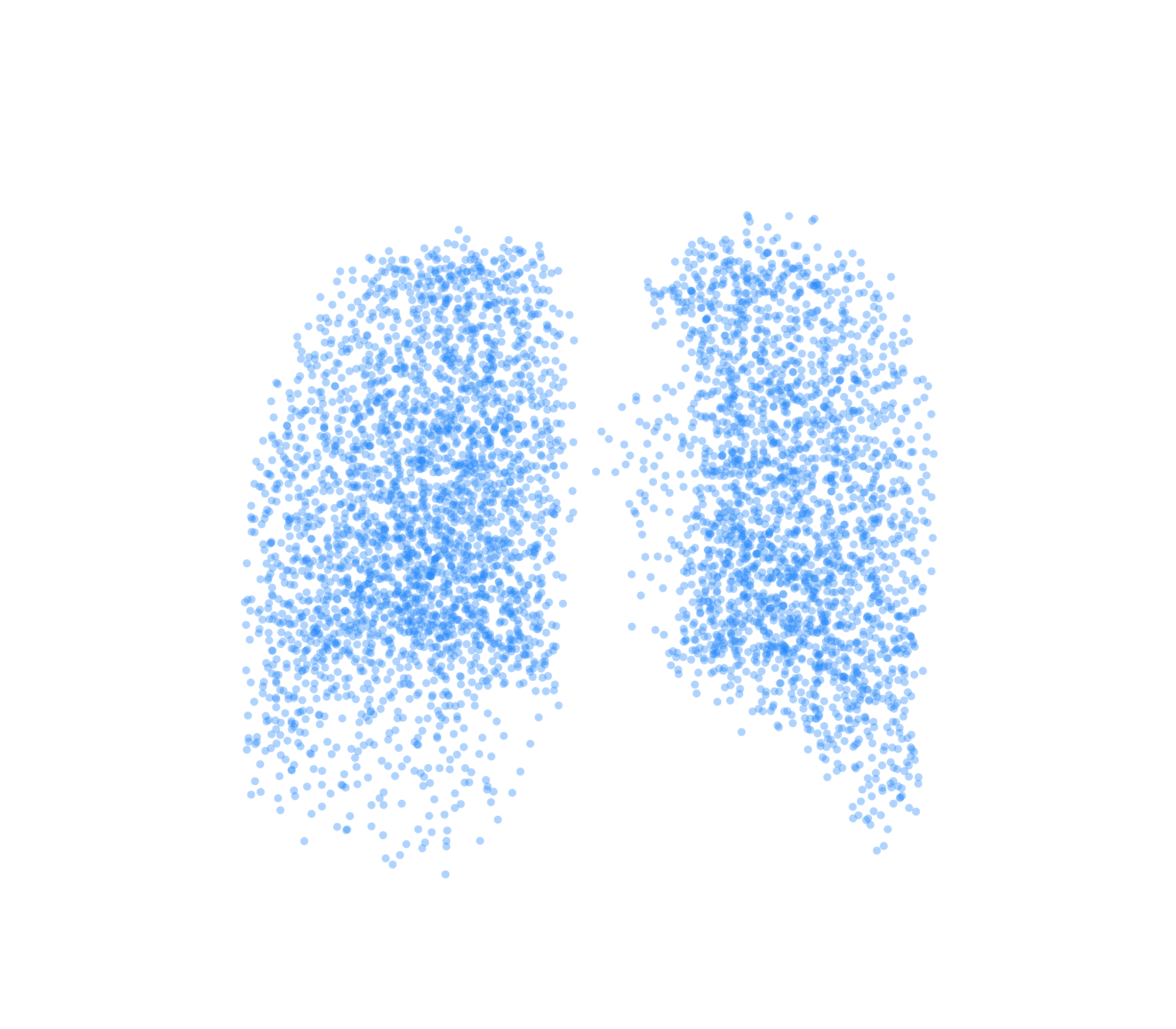 Point Cloud (Inspiration) - Back View