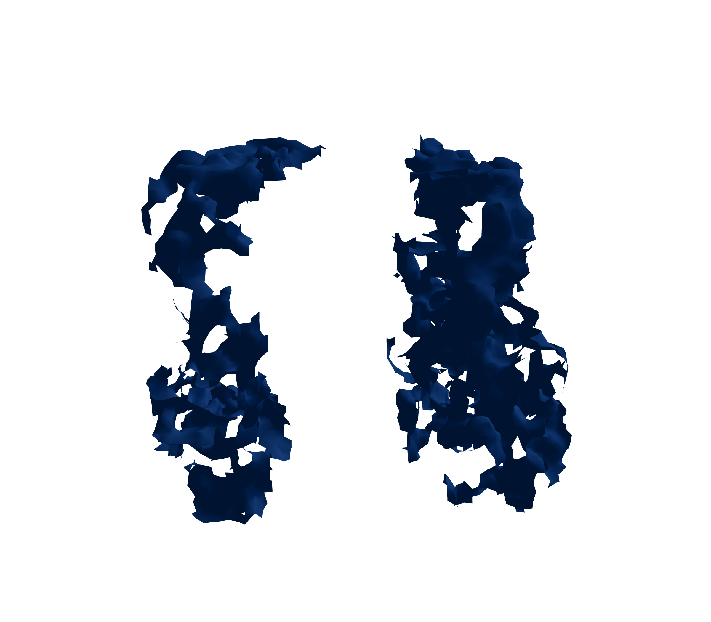 Surface Mesh (Inspiration) - Front View