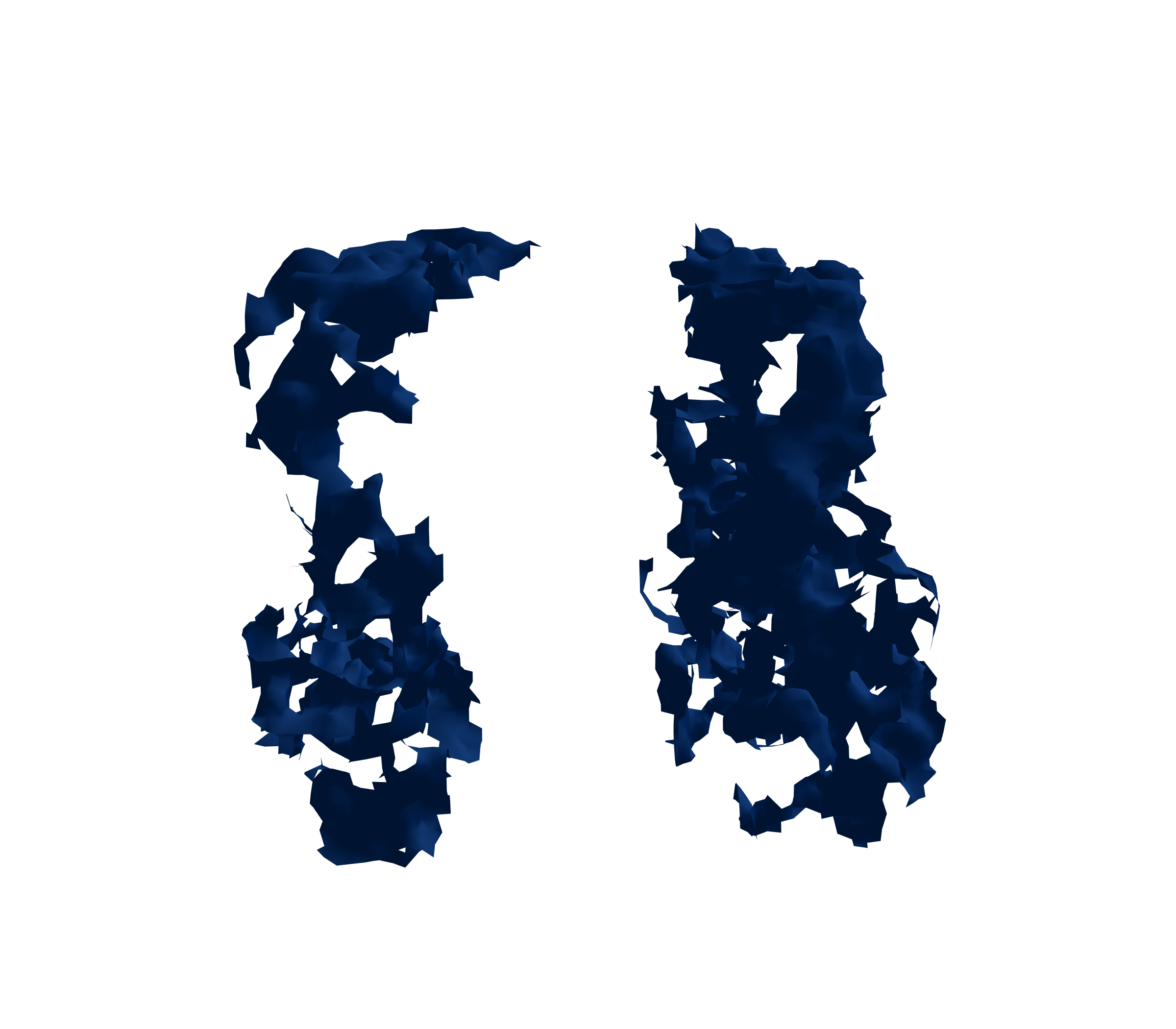 Surface Mesh (Inspiration) - Front View