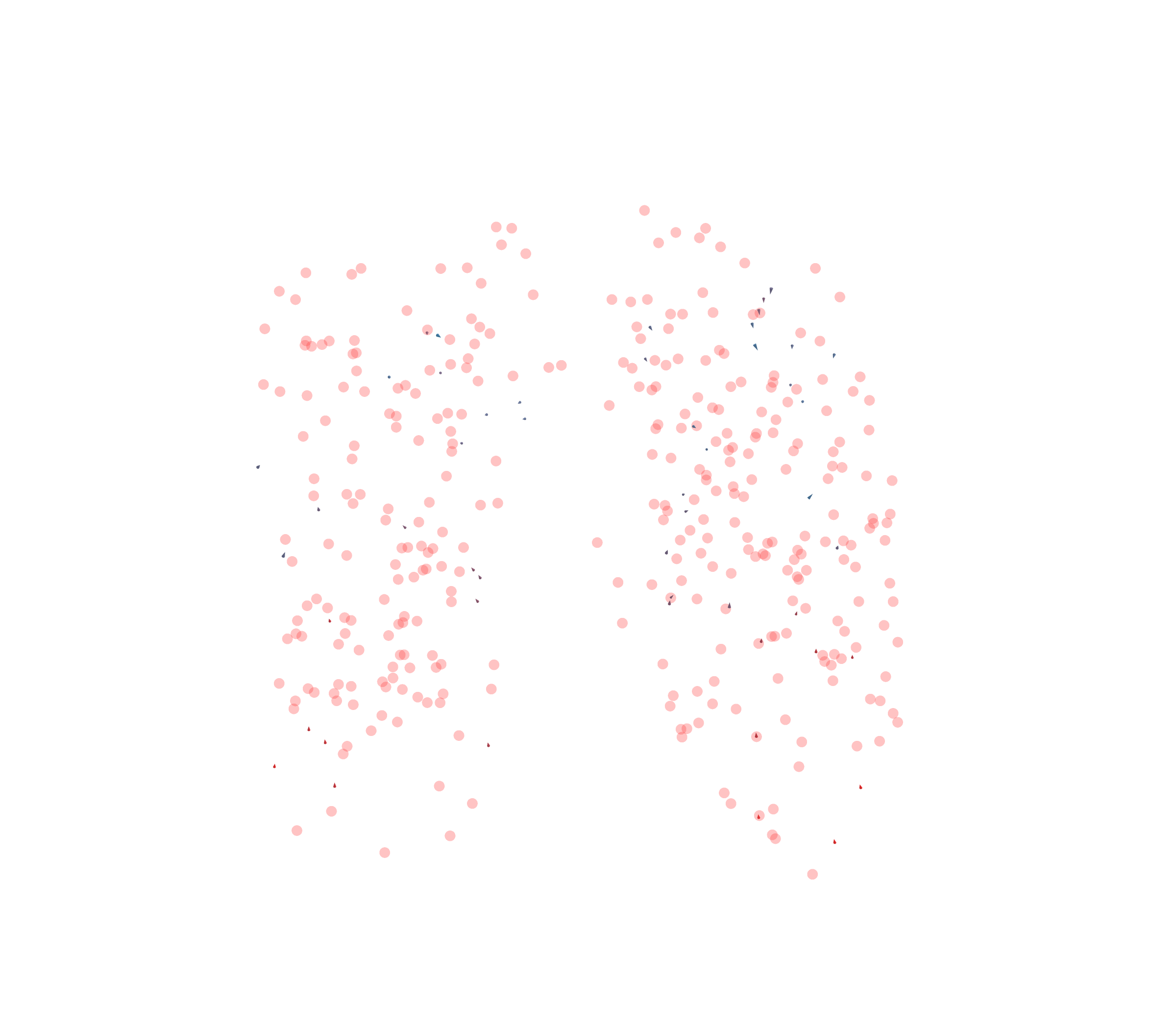 Displacement Vectors - Front View