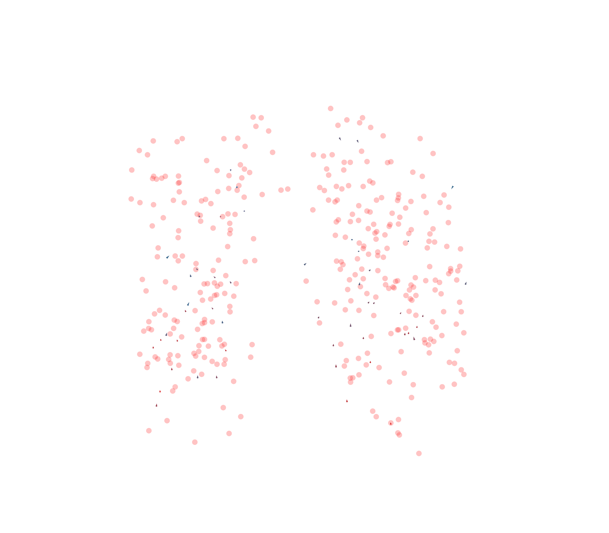 Displacement Vectors - Front View