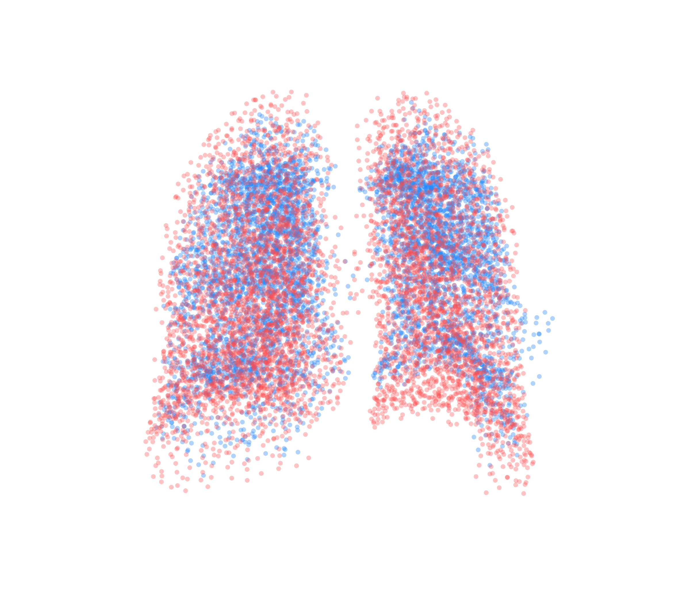 Point Cloud - Back View