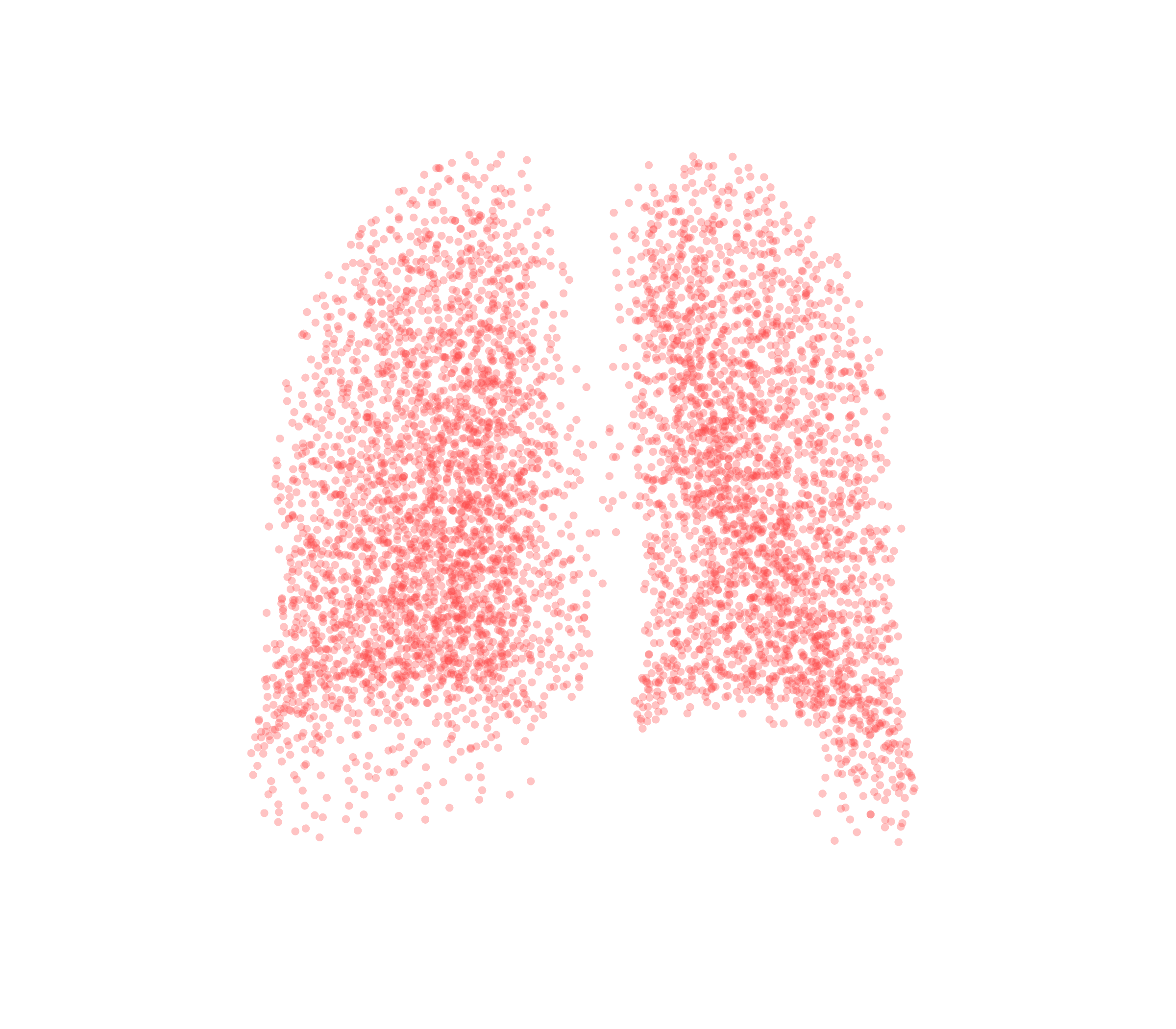Point Cloud (Expiration) - Back View