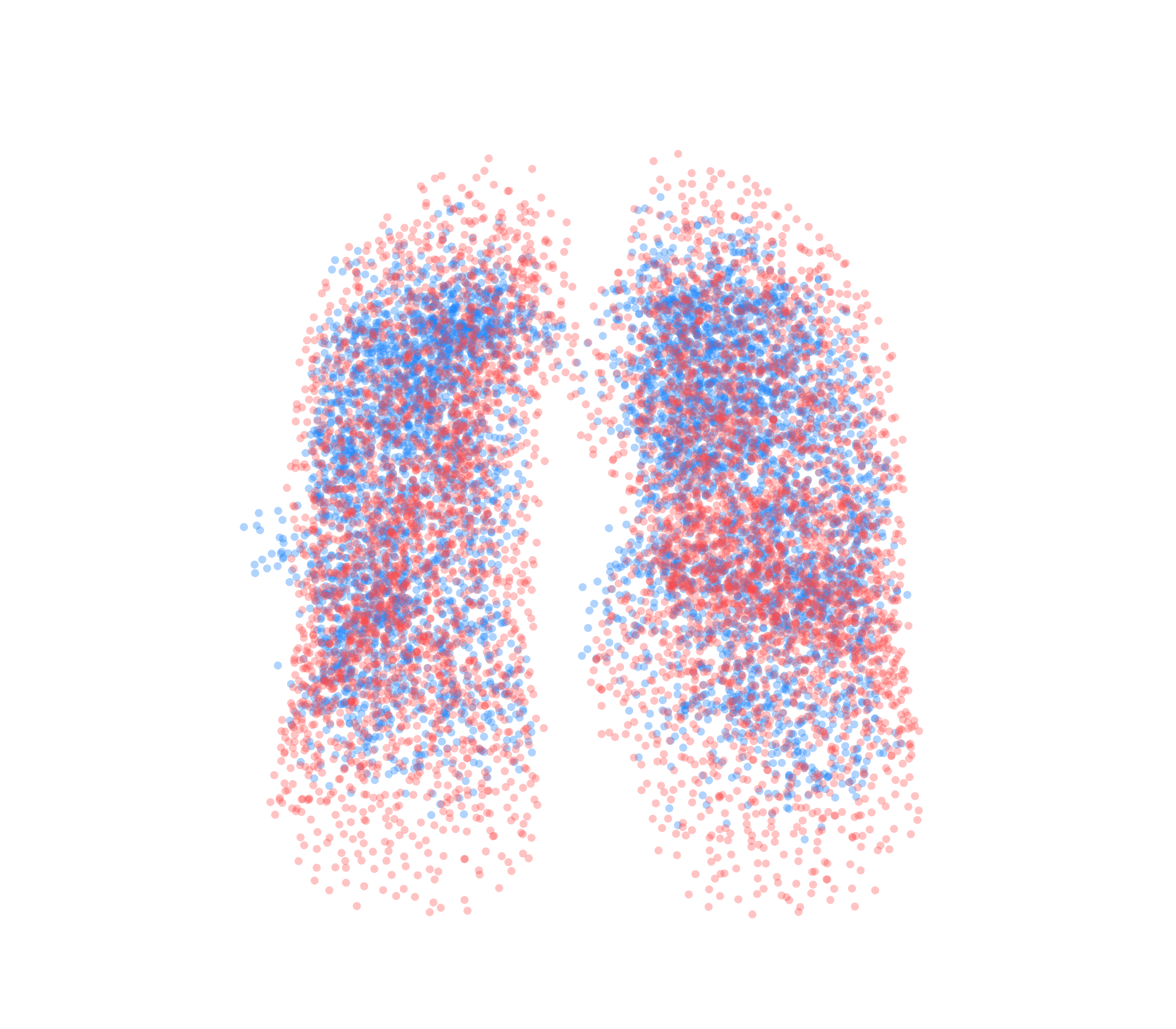 Point Cloud - Front View