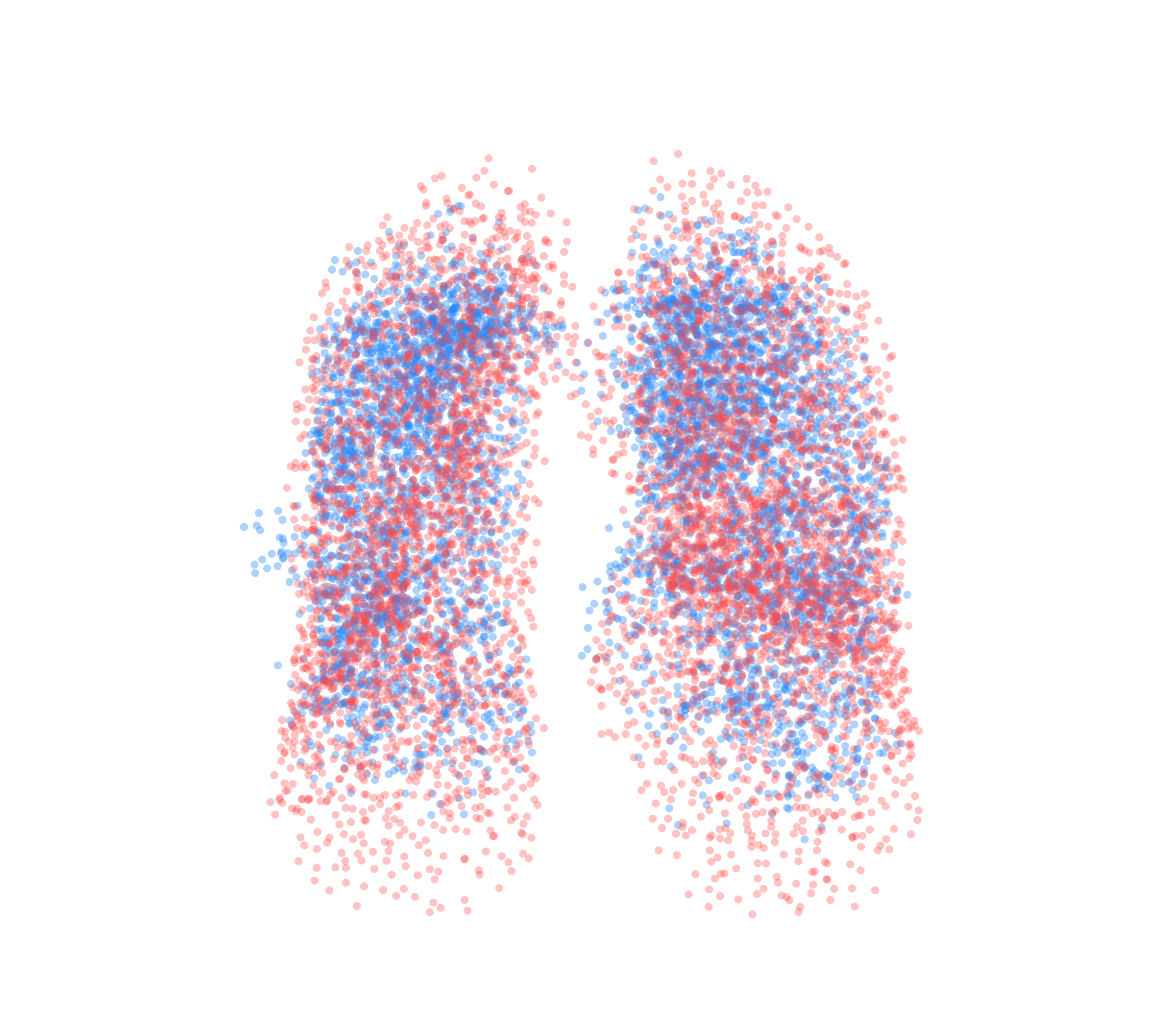 Point Cloud - Front View