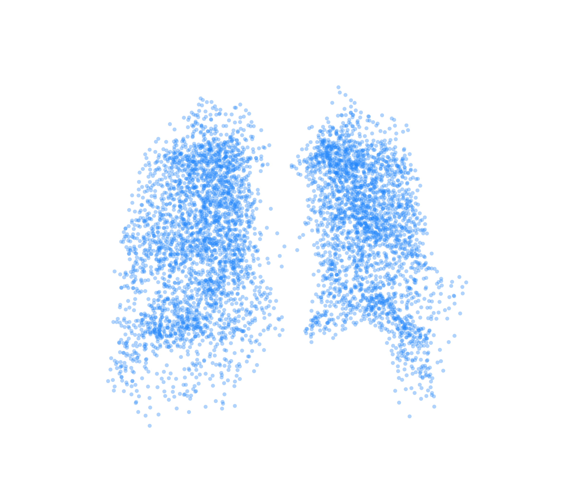 Point Cloud (Inspiration) - Back View