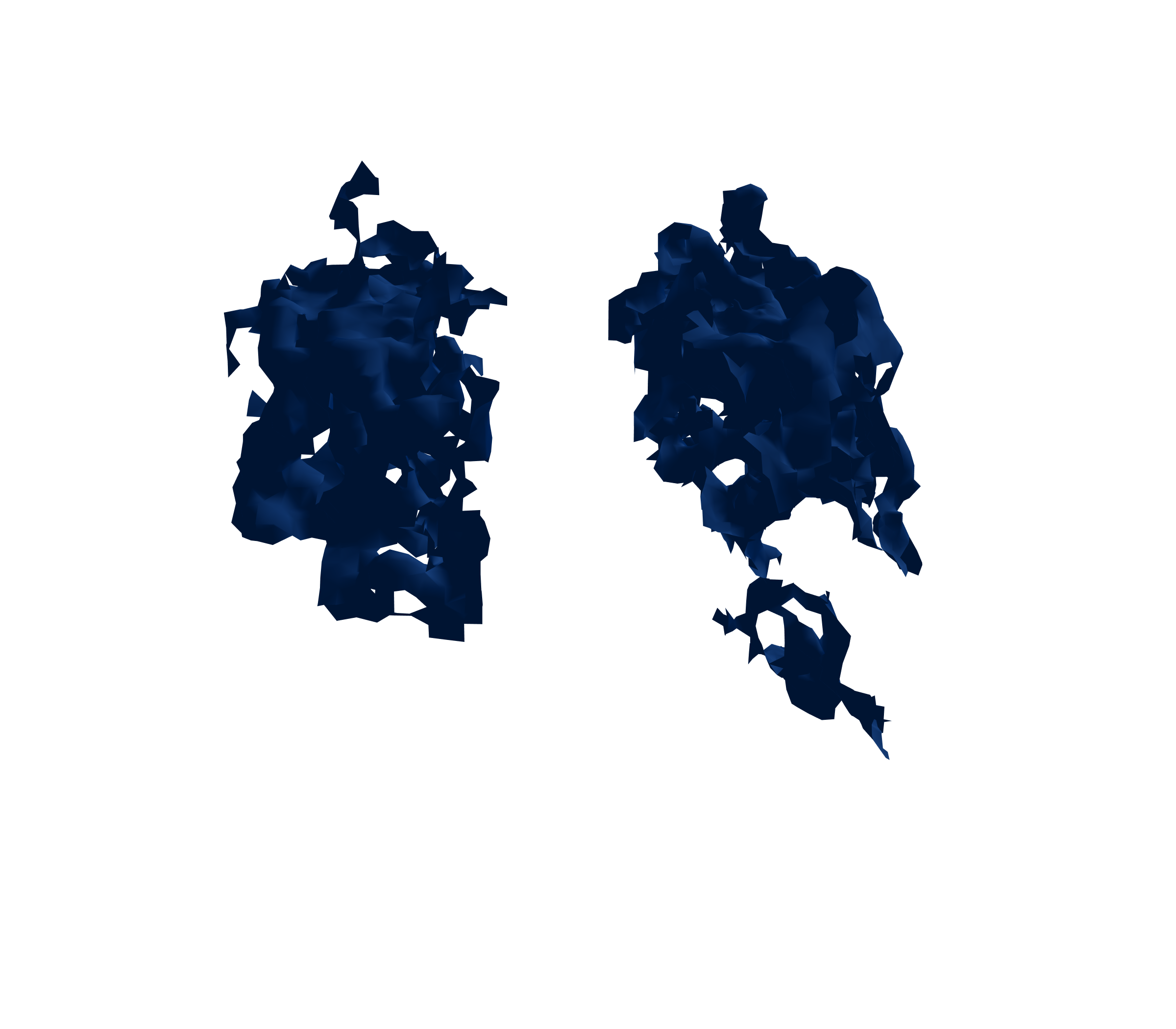 Surface Mesh (Inspiration) - Back View