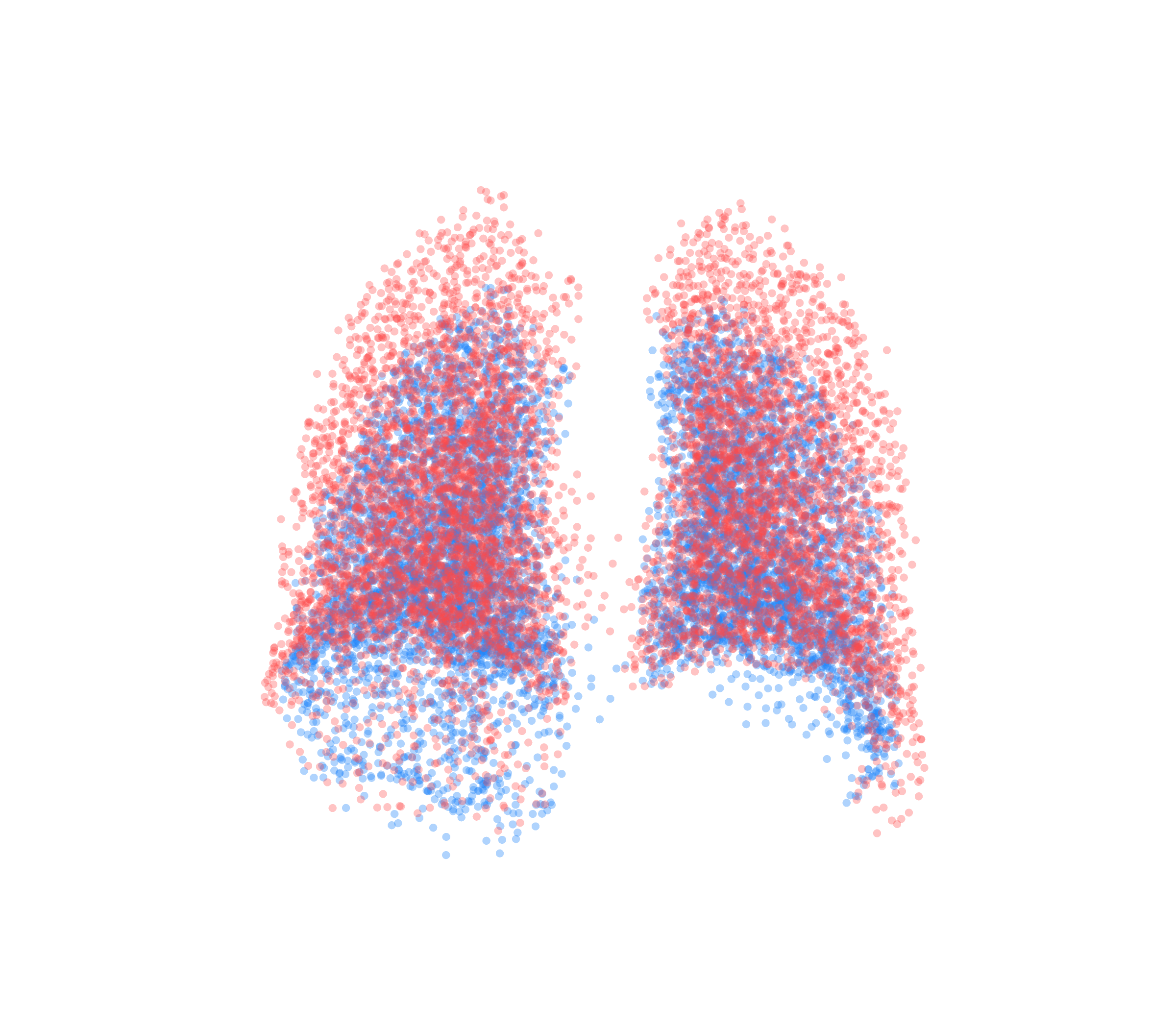 Point Cloud - Back View
