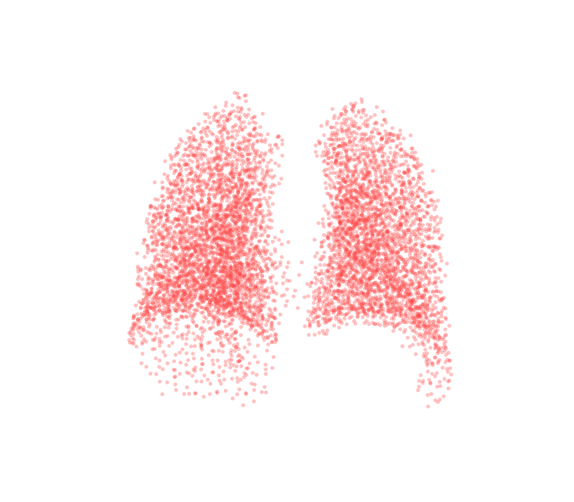 Point Cloud (Expiration) - Back View