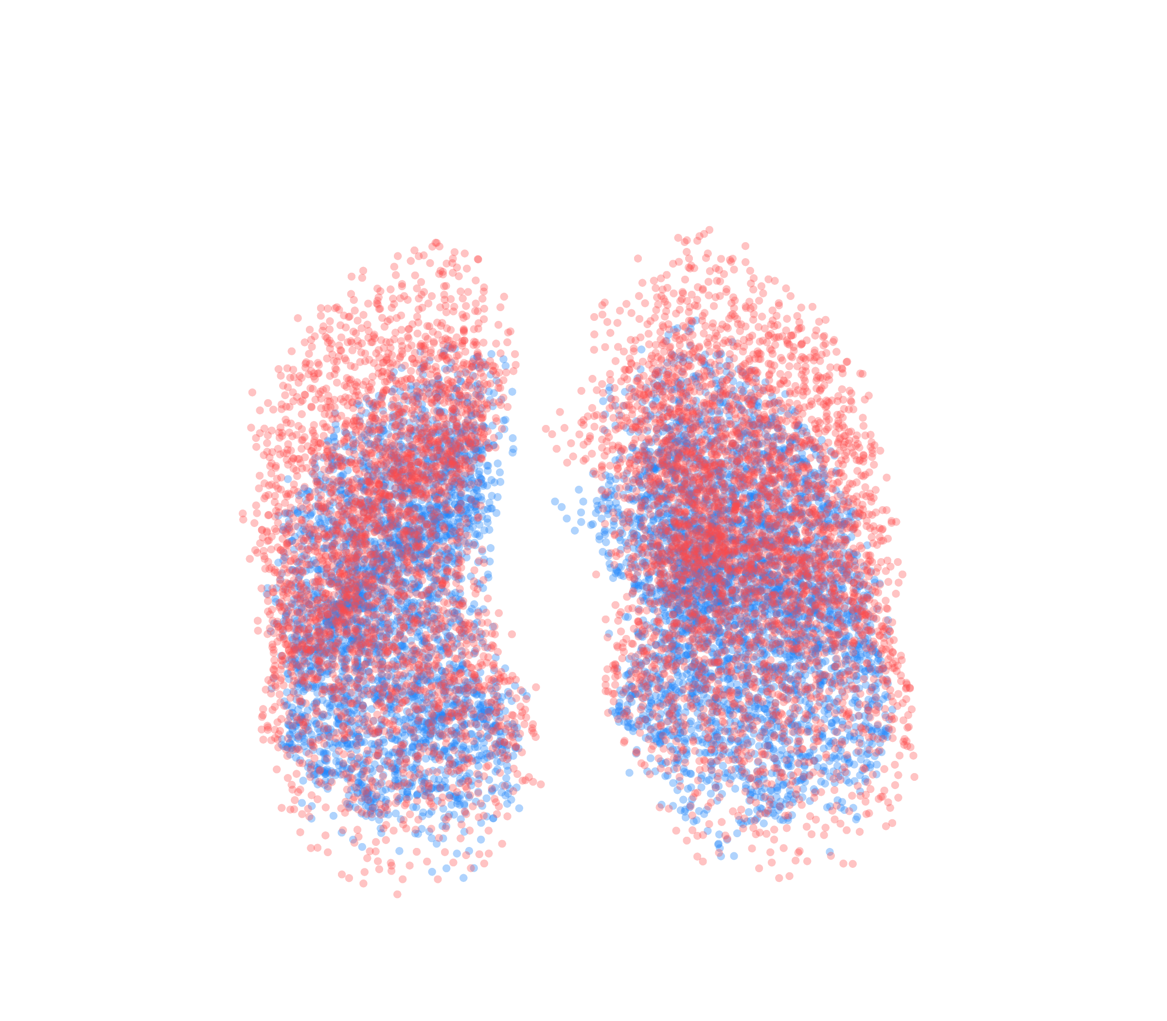 Point Cloud - Front View
