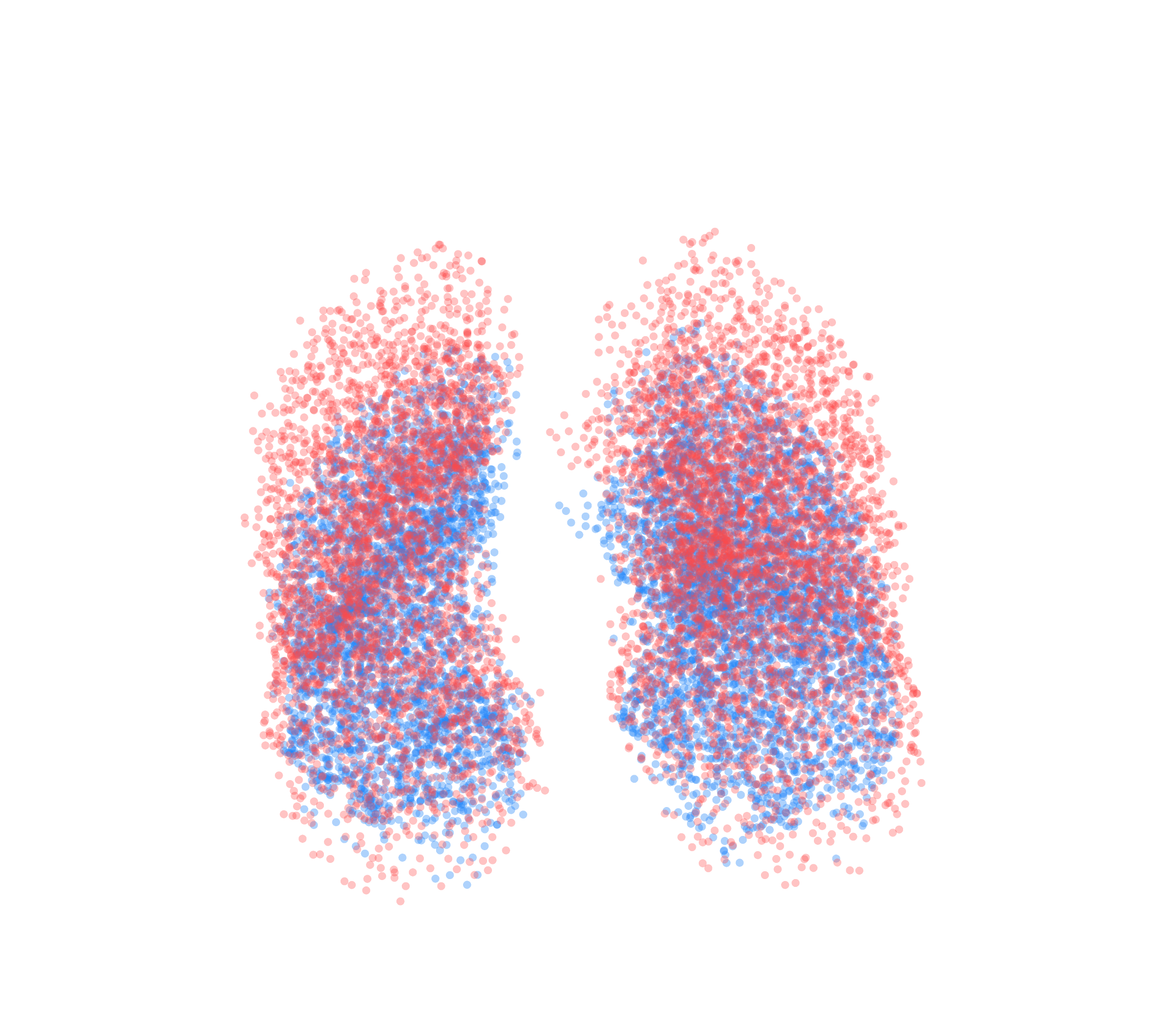 Point Cloud - Front View