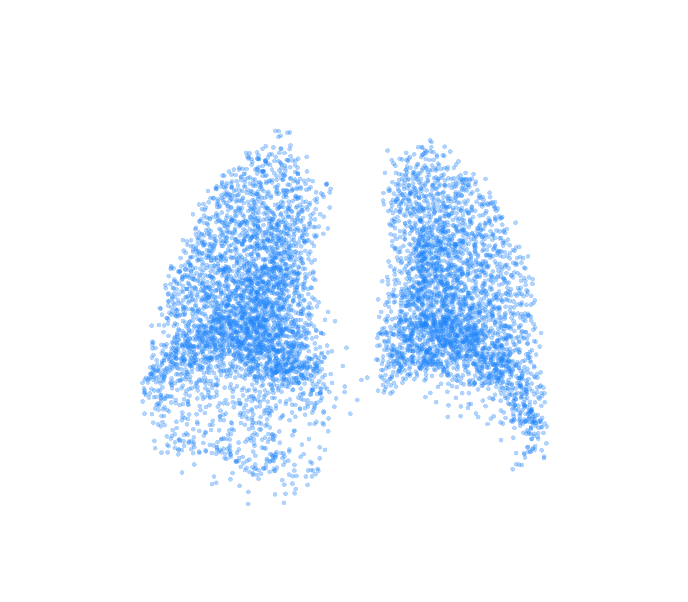 Point Cloud (Inspiration) - Back View