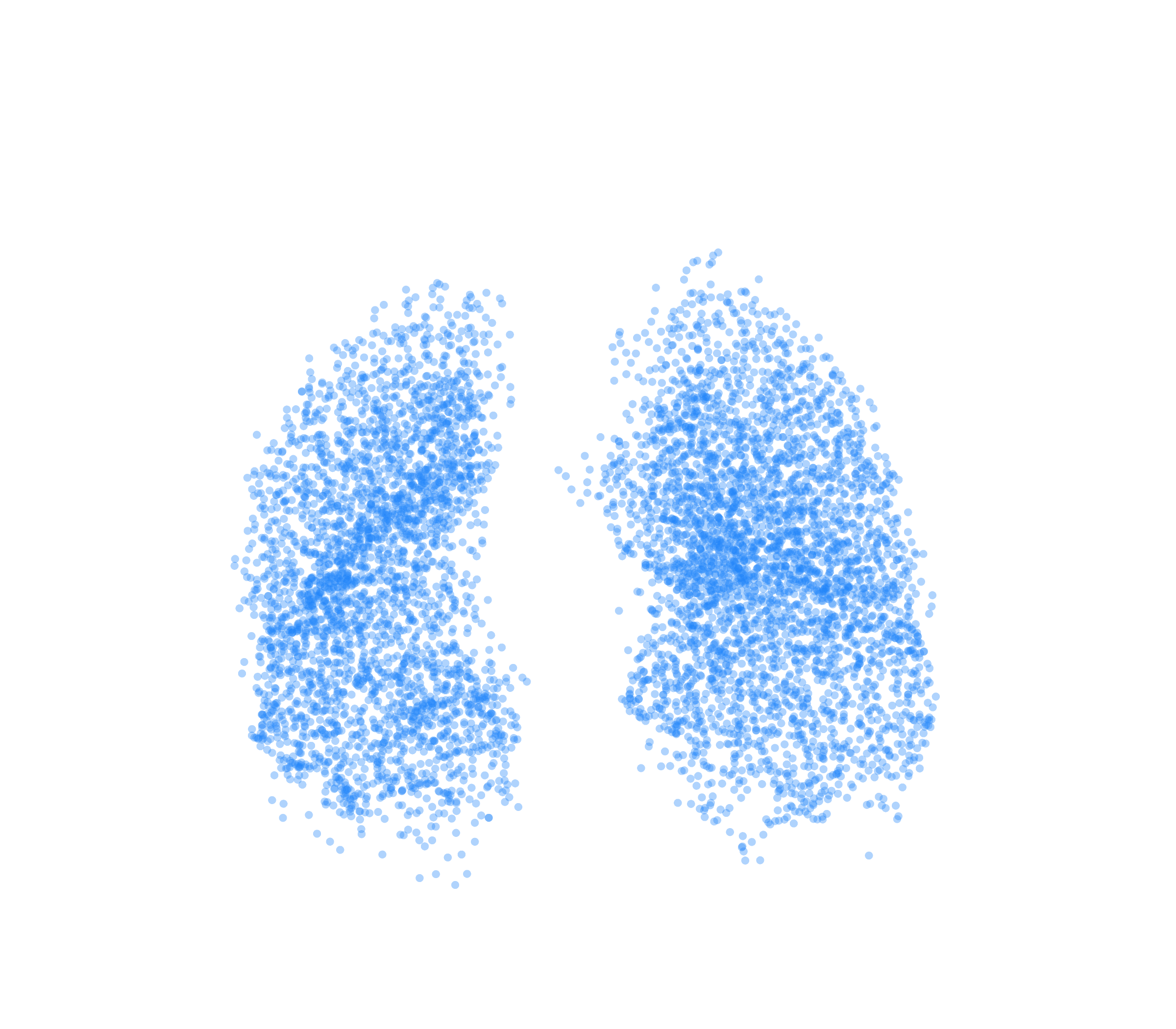 Point Cloud (Inspiration) - Front View