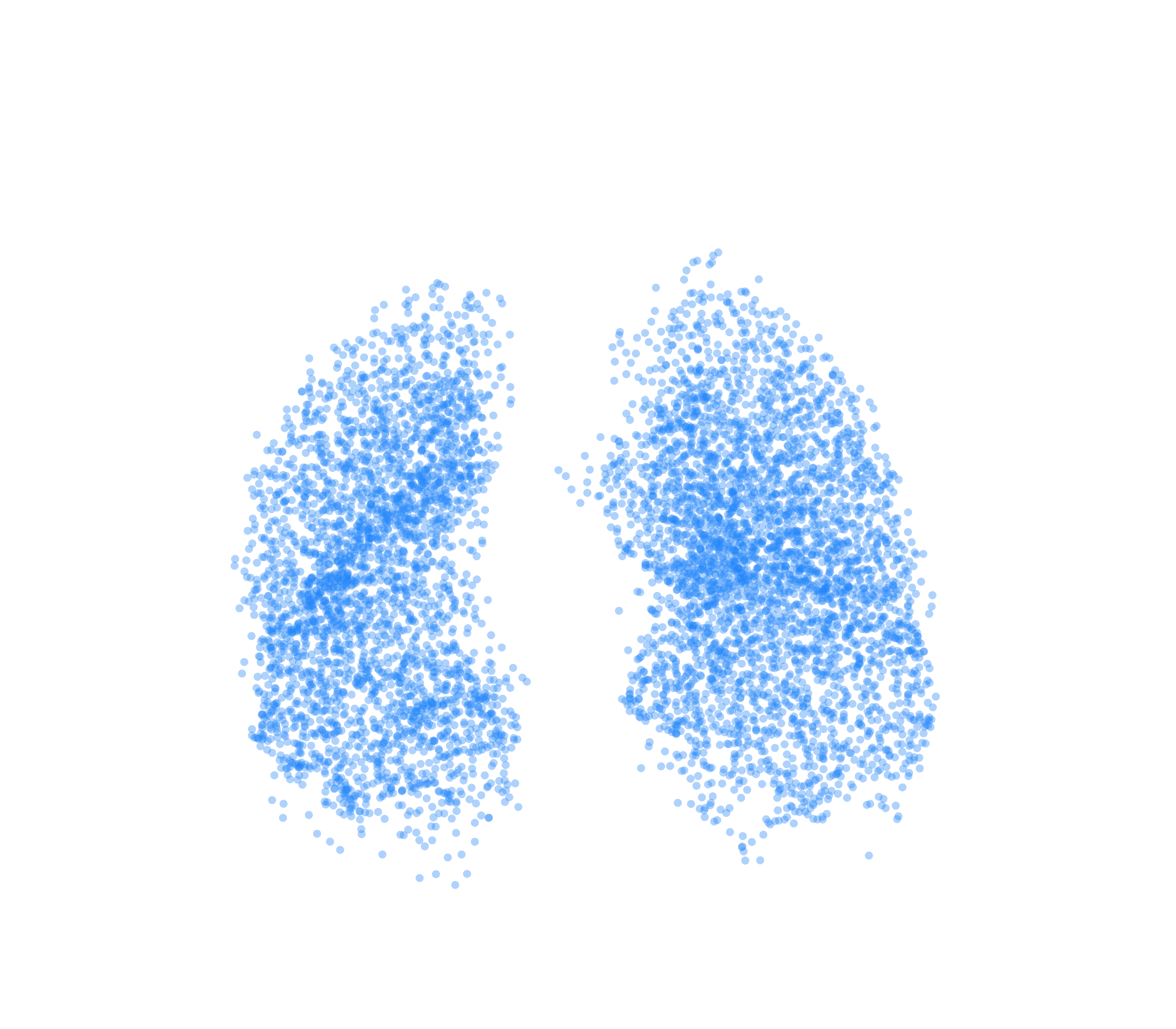 Point Cloud (Inspiration) - Front View