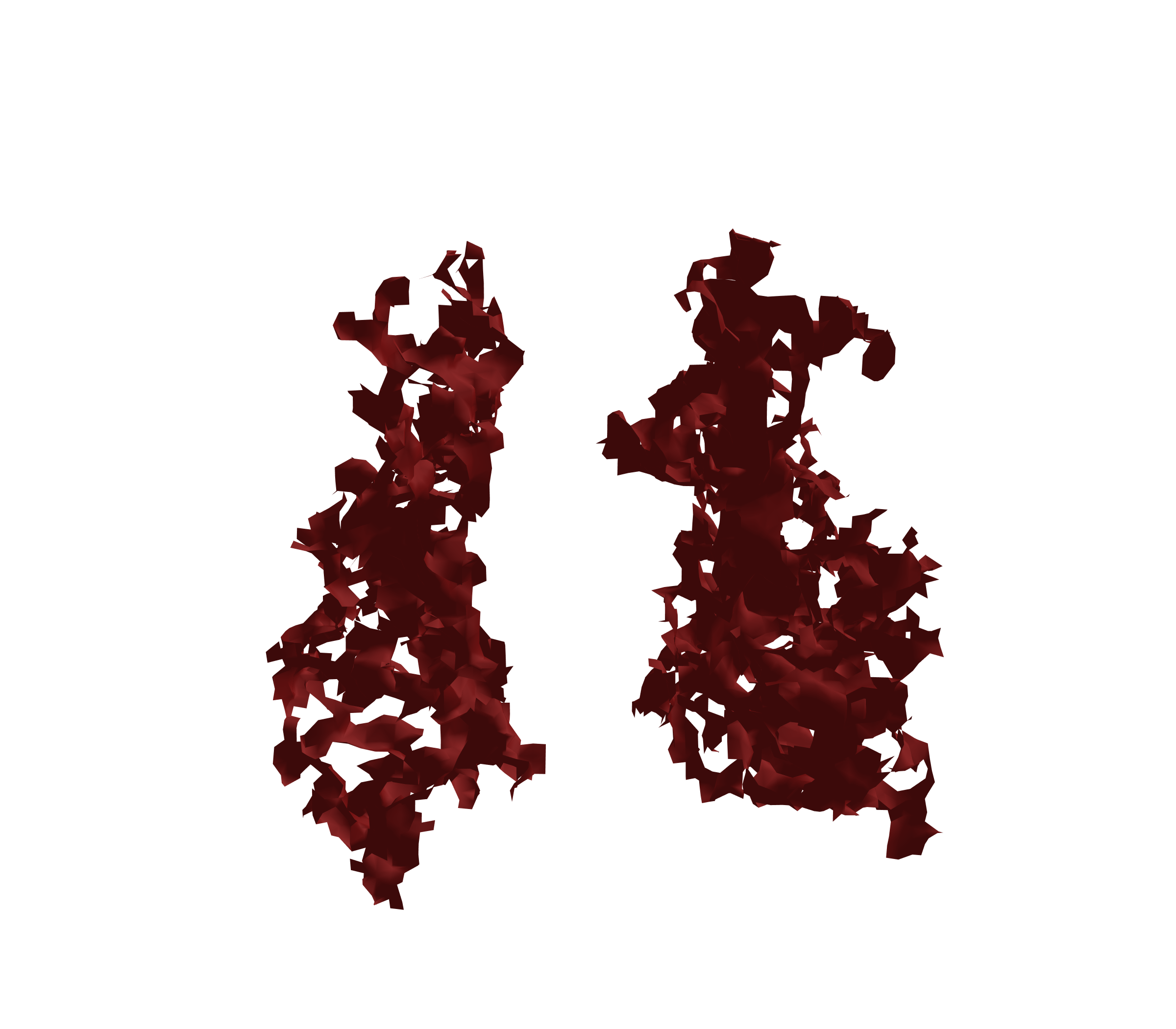 Surface Mesh (Expiration) - Front View