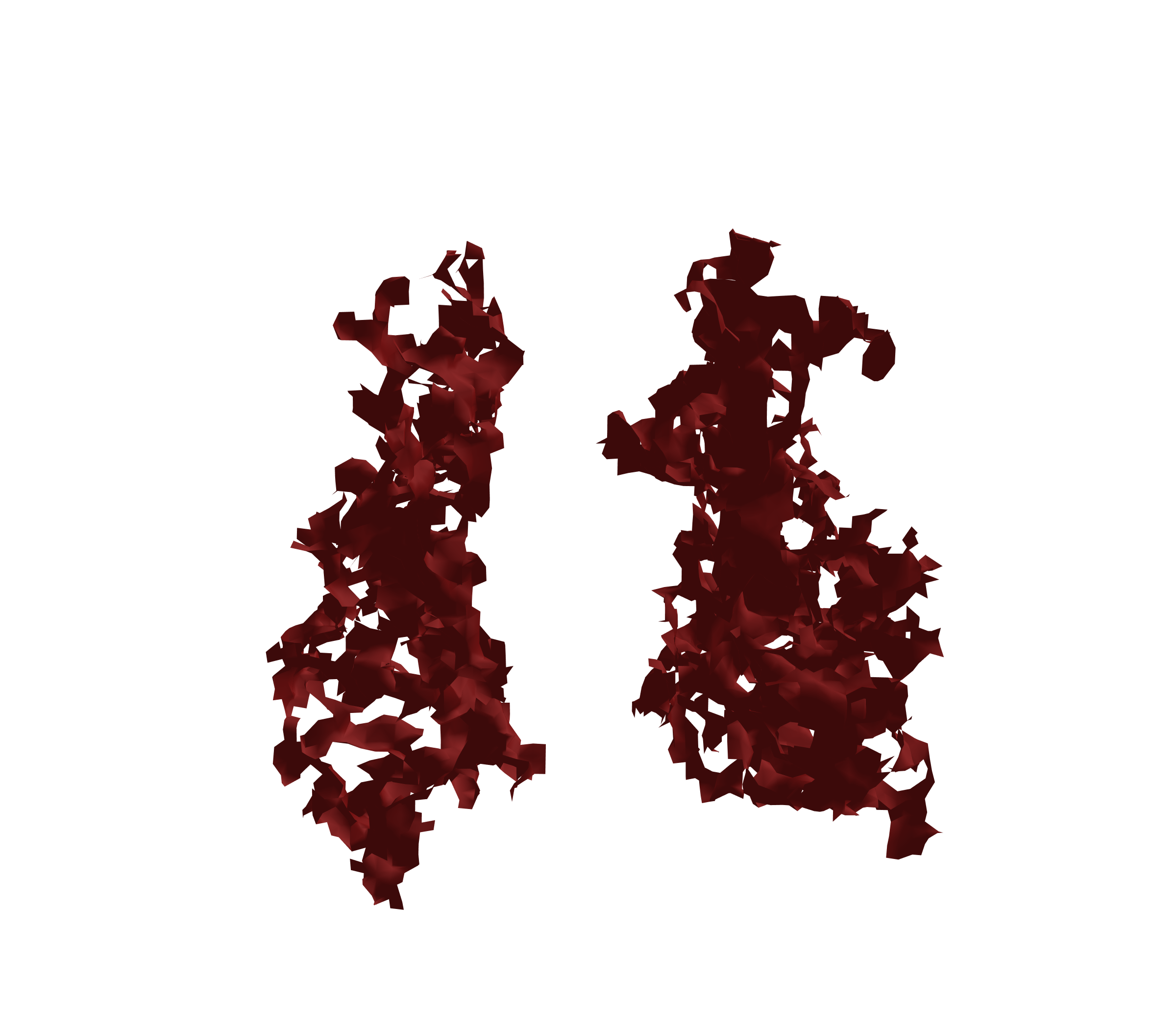 Surface Mesh (Expiration) - Front View