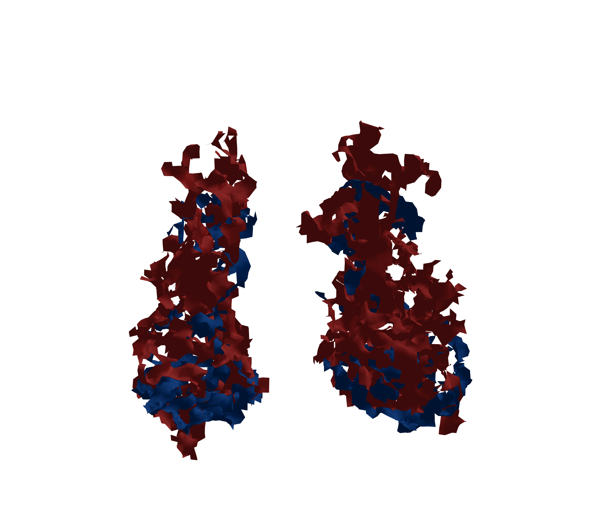 Surface Mesh - Front View