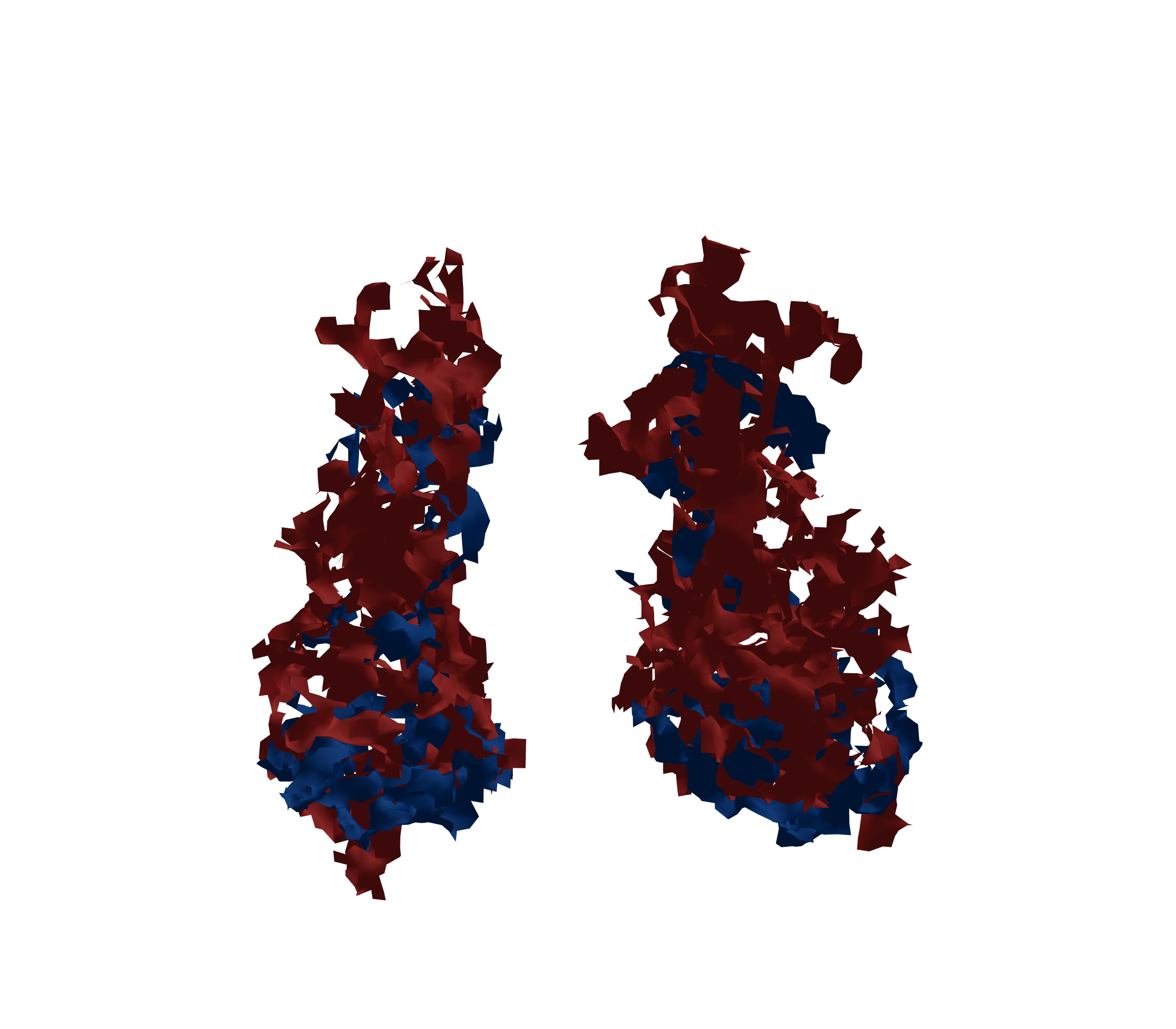 Surface Mesh - Front View