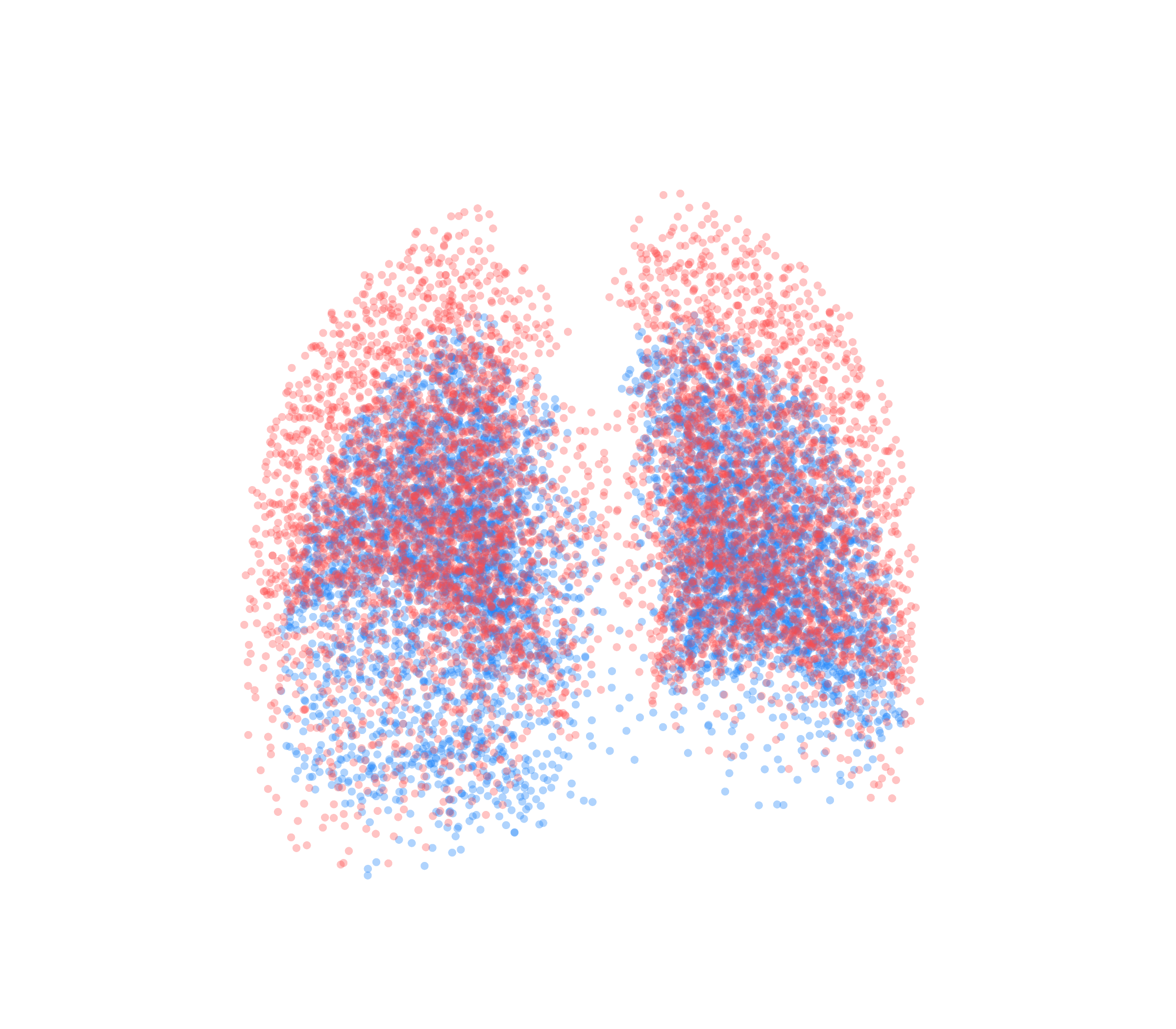 Point Cloud - Back View
