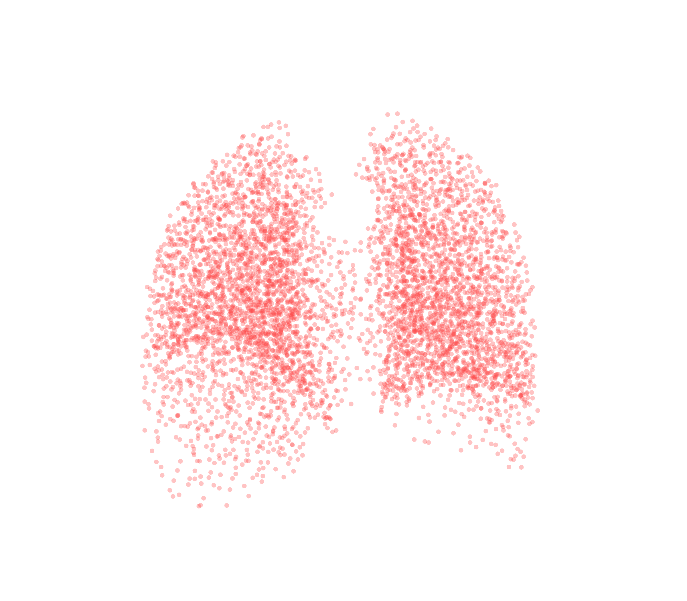 Point Cloud (Expiration) - Back View