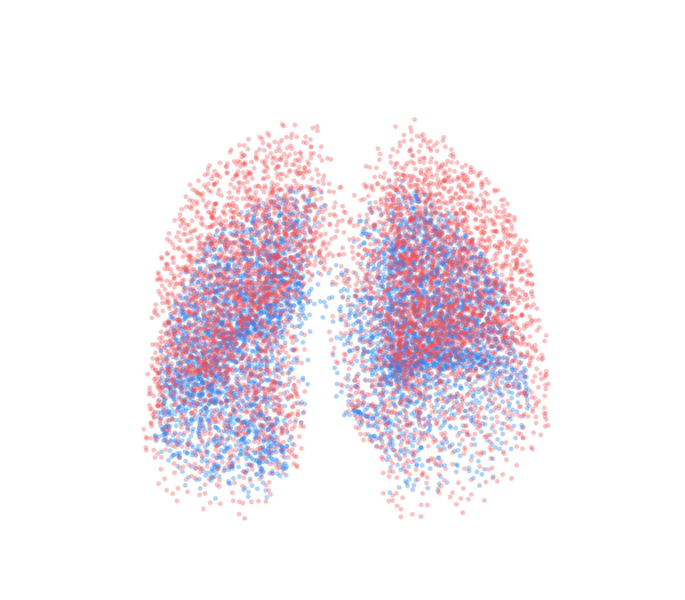 Point Cloud - Front View