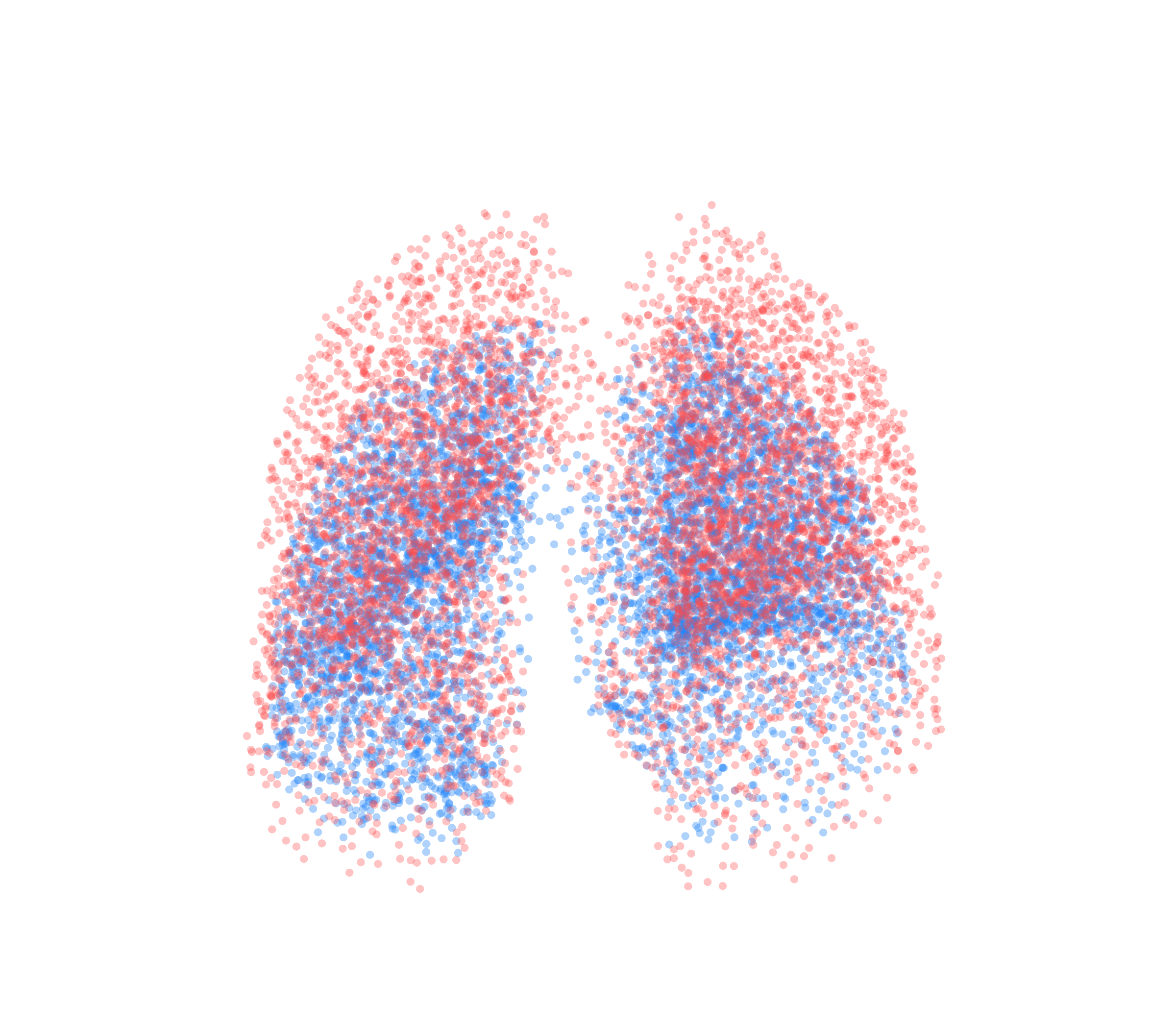 Point Cloud - Front View